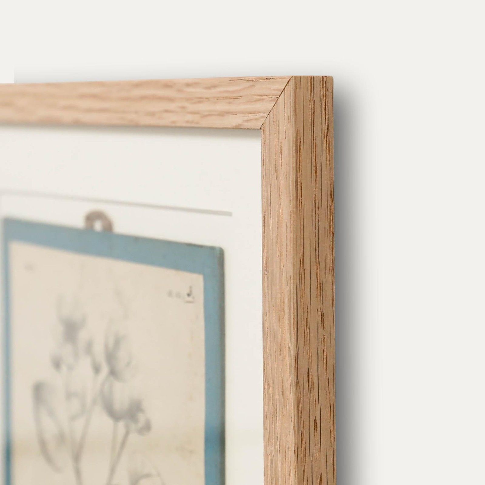 Native Flora Of Europe Framed 19th Century Lithograph, Caltha Palustris photo 100.0