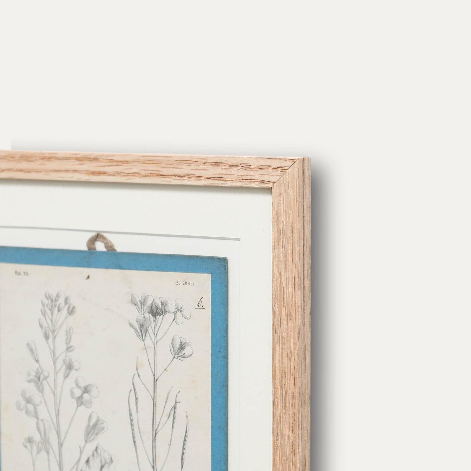 Native Flora Of Europe Framed 19th Century Lithograph, Brassica photo vinterior