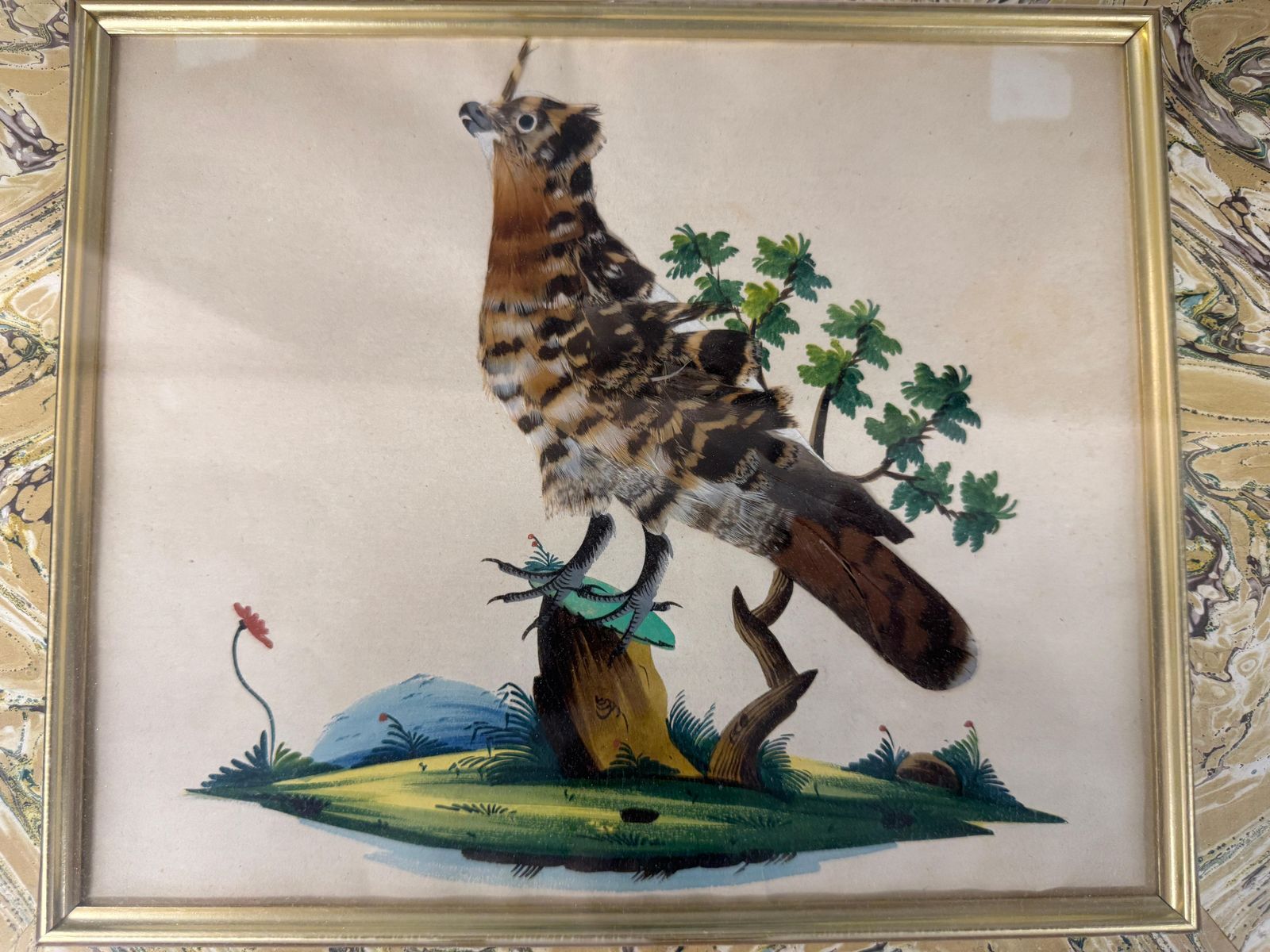 Set Of 7 Antique Watercolour & Feather Bird Pictures photo buy