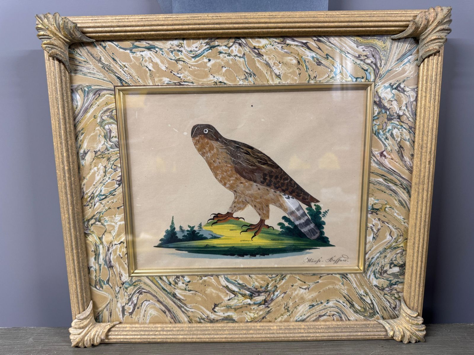 3566.0 Set Of 7 Antique Watercolour & Feather Bird Pictures photo