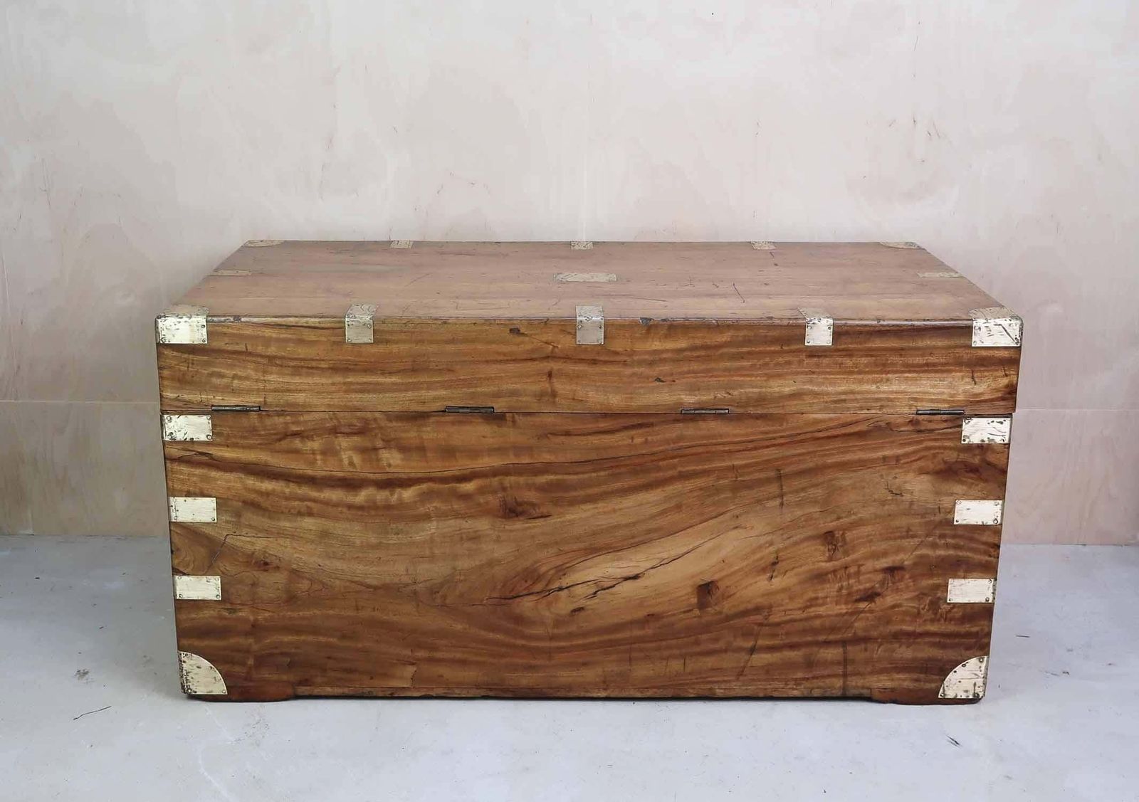 Large Antique Camphor Wood Trunk, Hong Kong, 19th Century photo buy