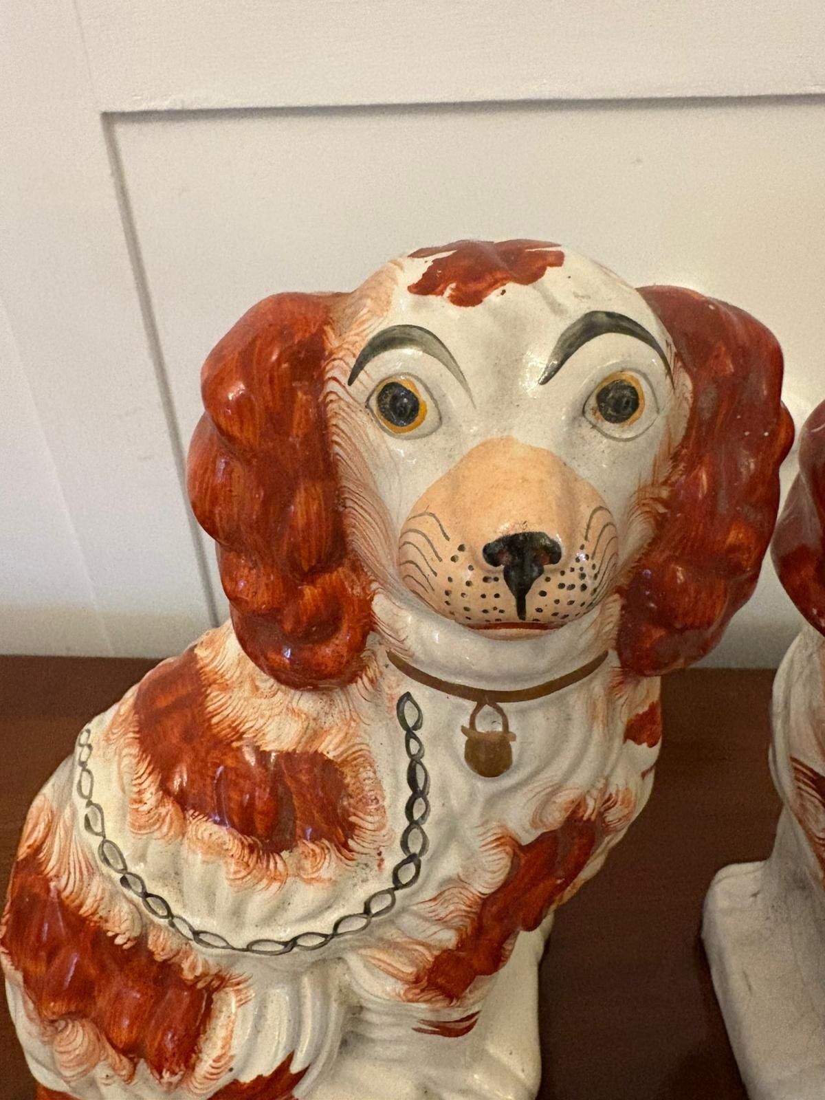 Pair Of Antique Staffordshire Spaniel Dogs photo vinterior