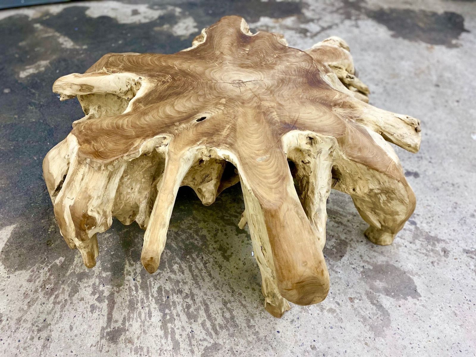 Contemporary Wooden Teak Root Coffee Table, Organic Modern, Idn 2024 photo 2820.0