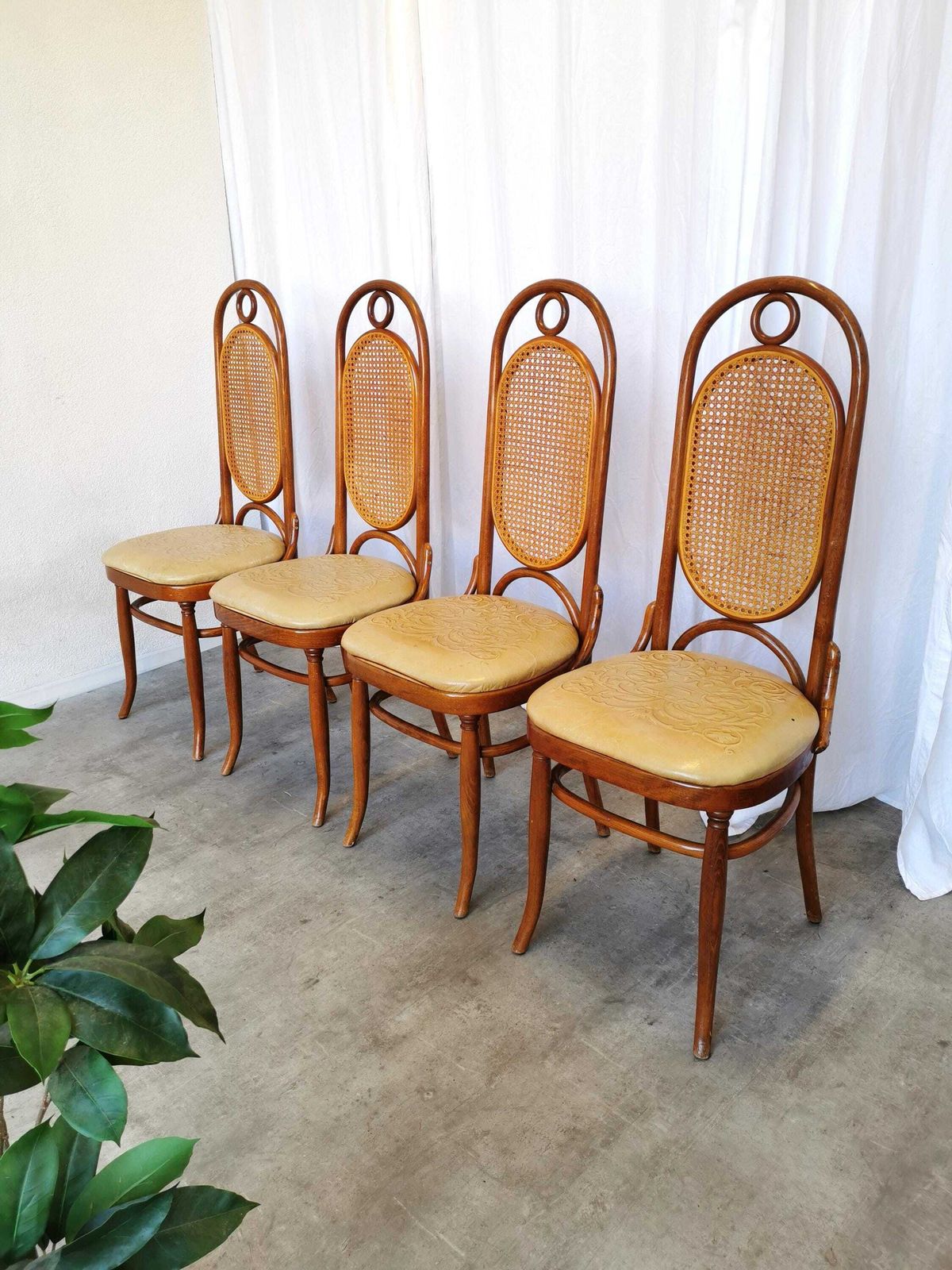 Set Of 4 Vintage Bentwood Dining Chairs: Cane Back, Leather Seat, Thonet Style