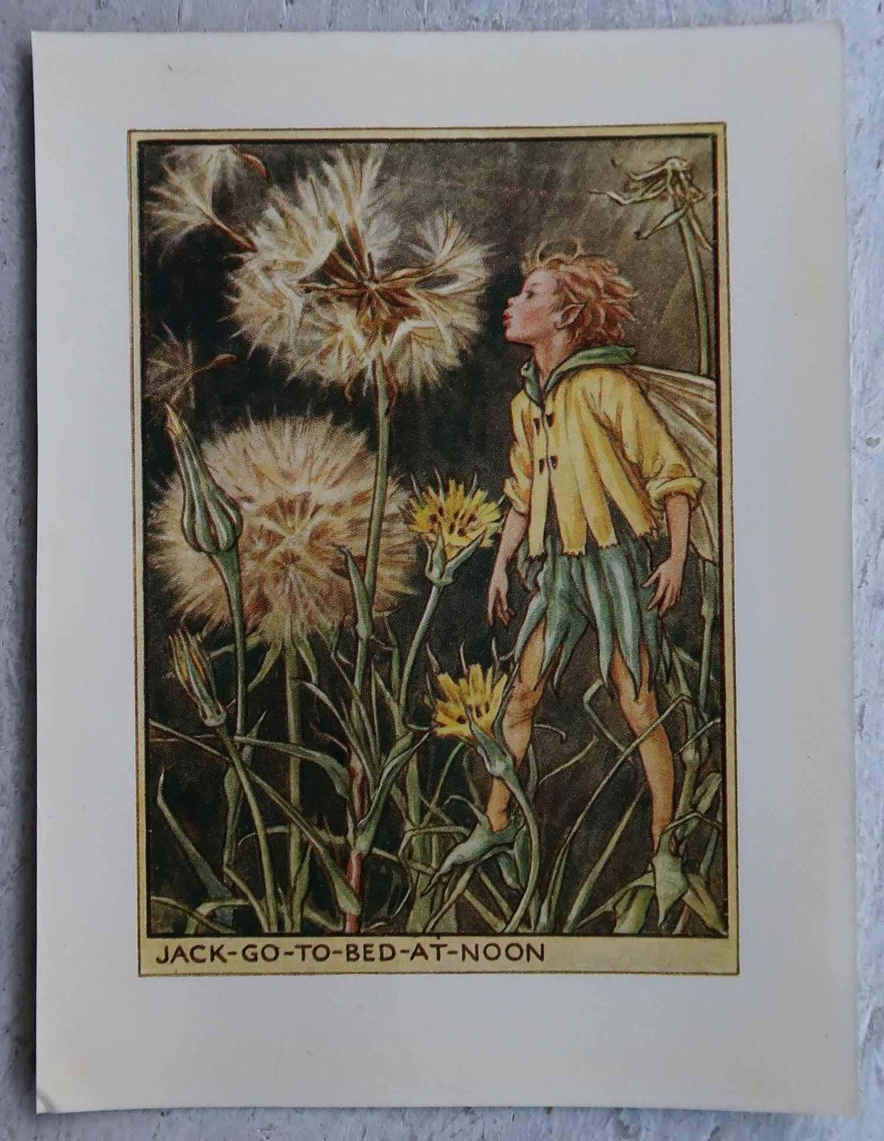 Set Of 8 Original Vintage Flower Fairy Prints, Circa 1930 photo for sale
