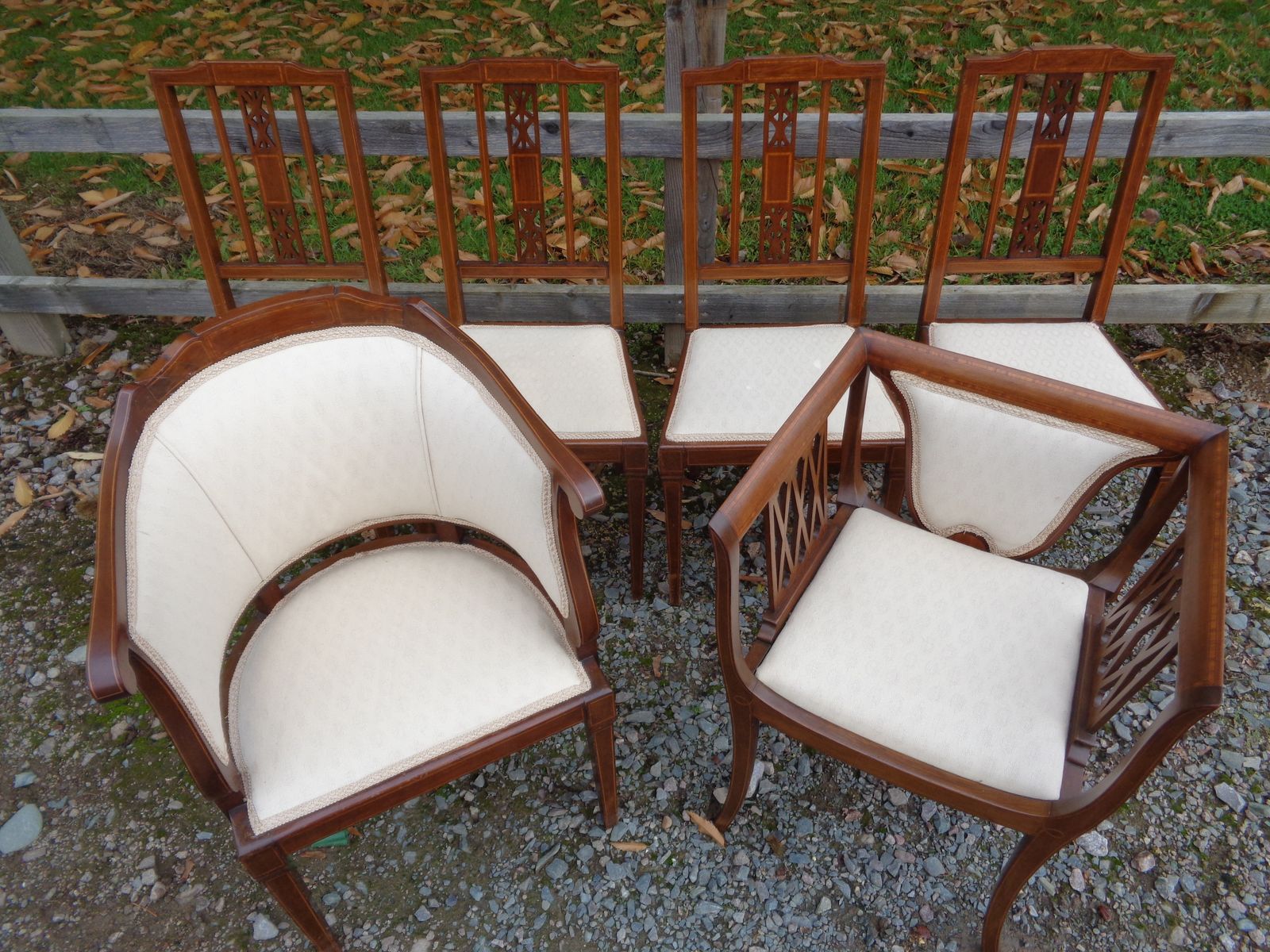 6 Edwardian Mahogany Salon Chairs   Gentleman's & Ladies + 4 photo furniture