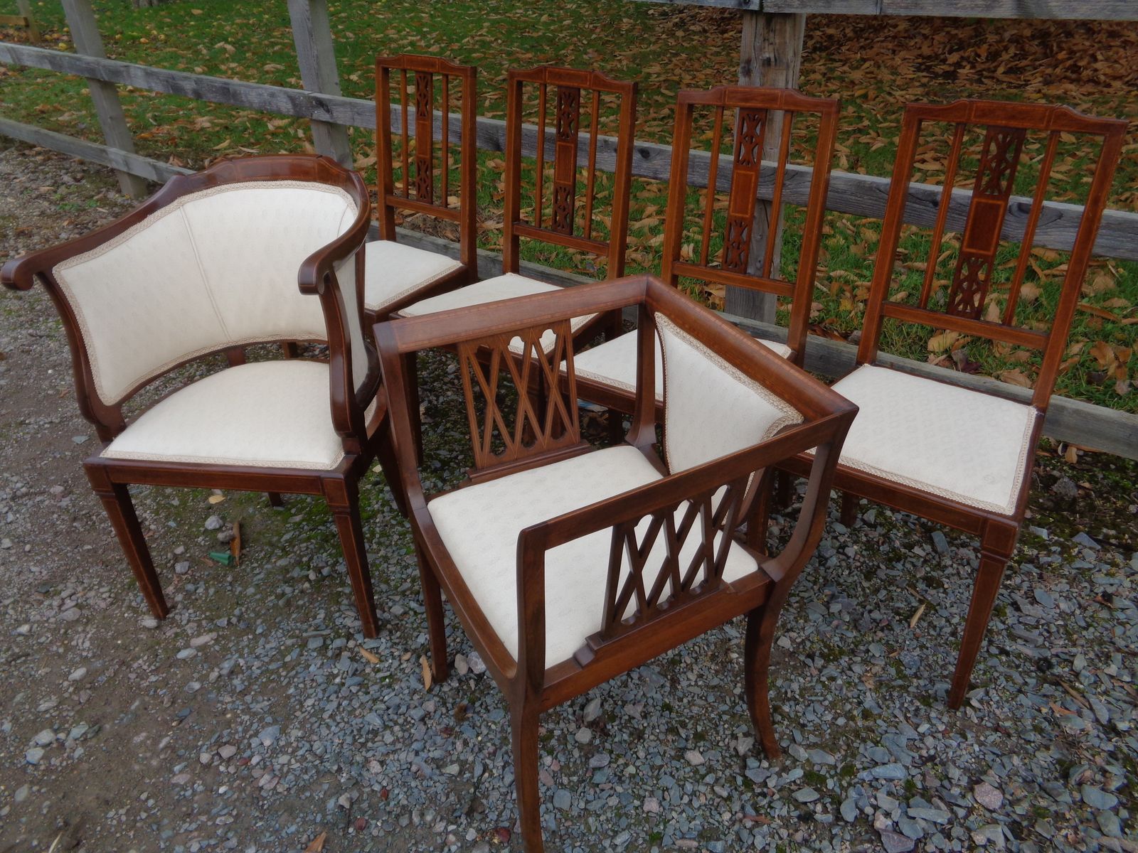 6 Edwardian Mahogany Salon Chairs   Gentleman's & Ladies + 4 photo Furniture
