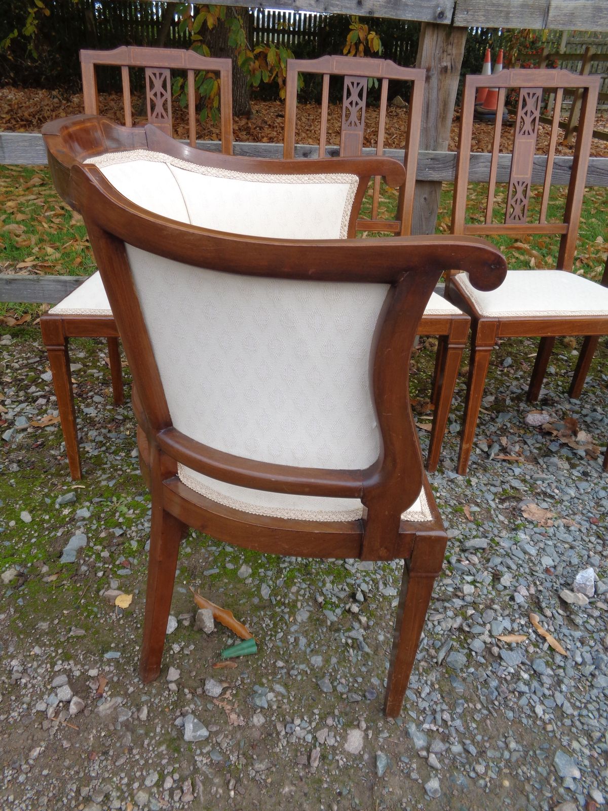 6 Edwardian Mahogany Salon Chairs   Gentleman's & Ladies + 4 photo buy