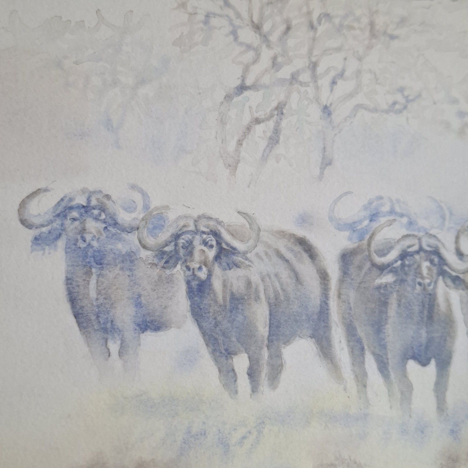 Large Original Watercolour Painting Progress Ncube African Buffalo Contemporary photo furniture