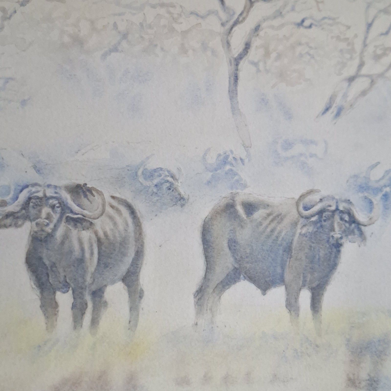Large Original Watercolour Painting Progress Ncube African Buffalo Contemporary photo Art