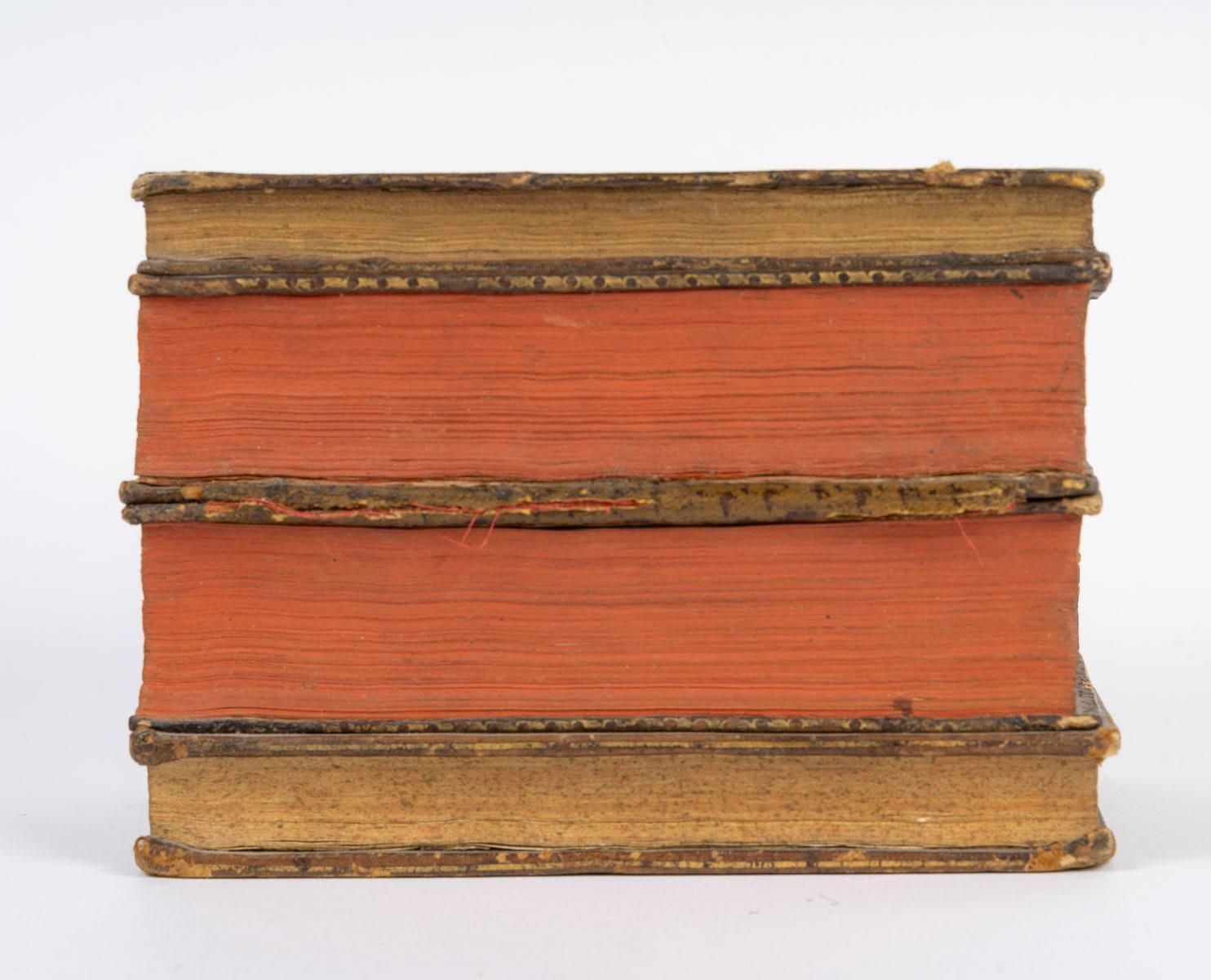 Fake Book Concealing Two Liqueur Decanters, Napoleon III Style, 20th Century. photo Home Decor