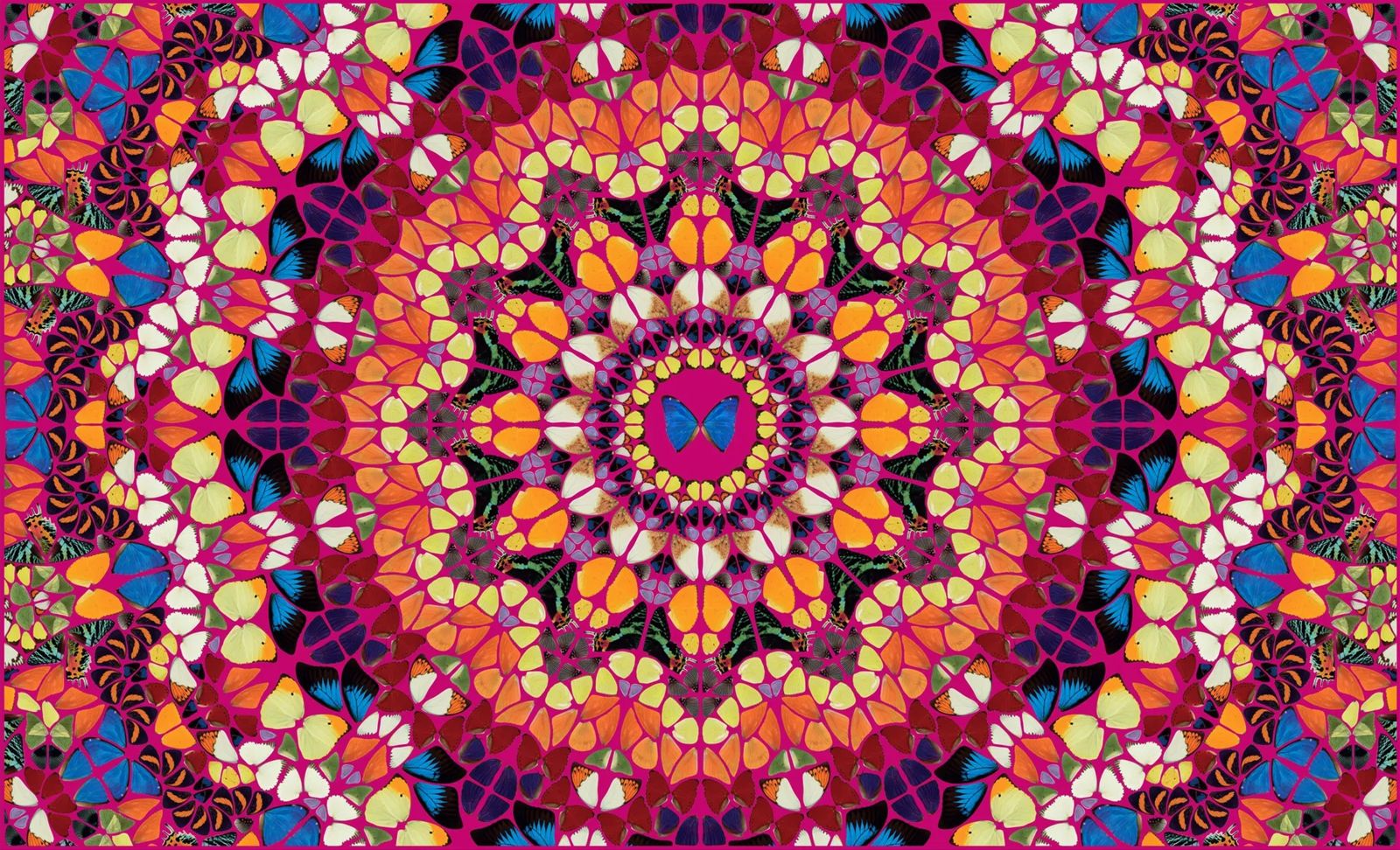 Damien Hirst The Kaleidoscopes H18, Full Set photo furniture