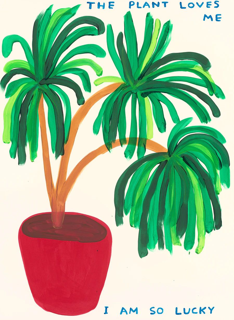 David Shrigley The Plant Loves Me