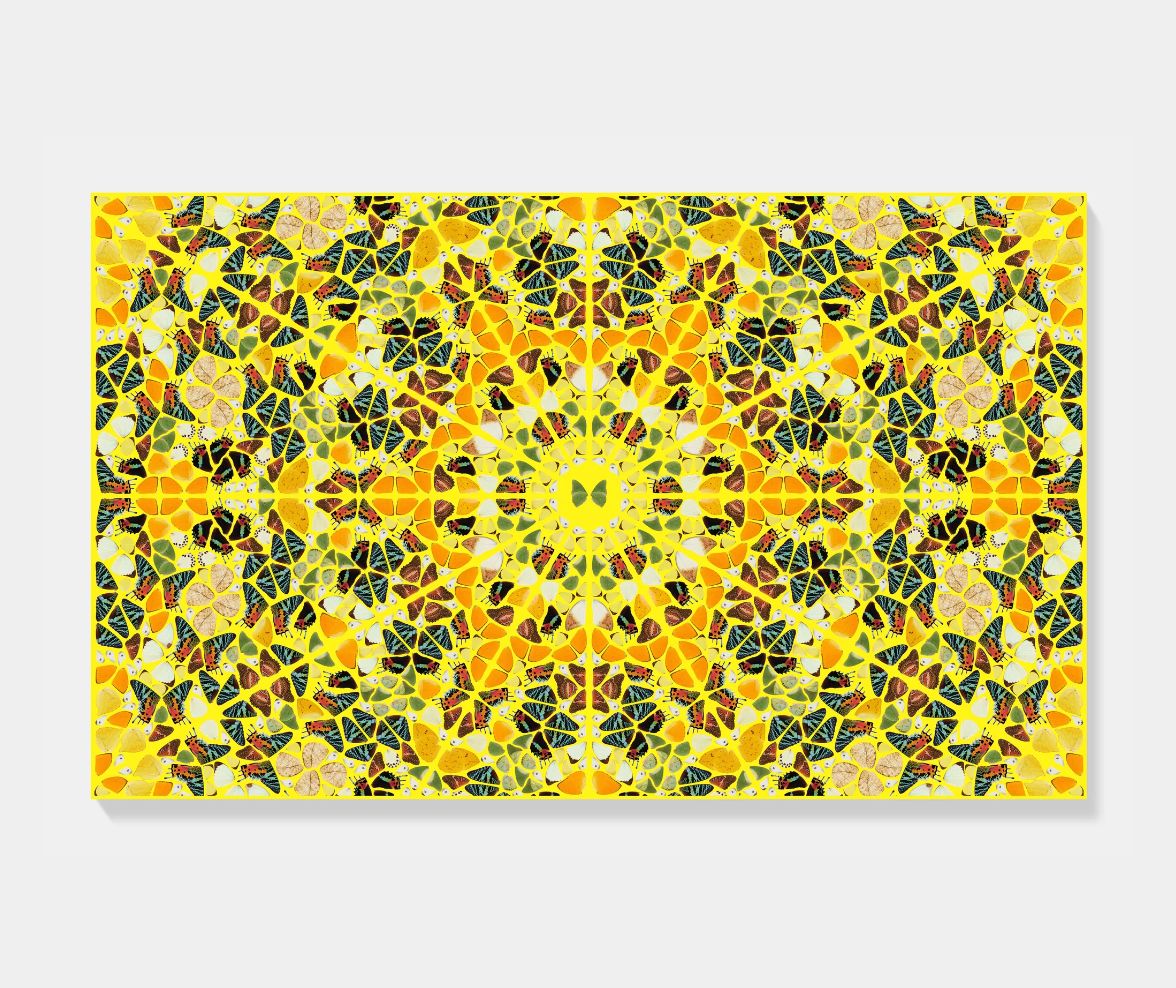 Damien Hirst Splendour From The Kaleidoscopes, H18 4, Framed photo furniture