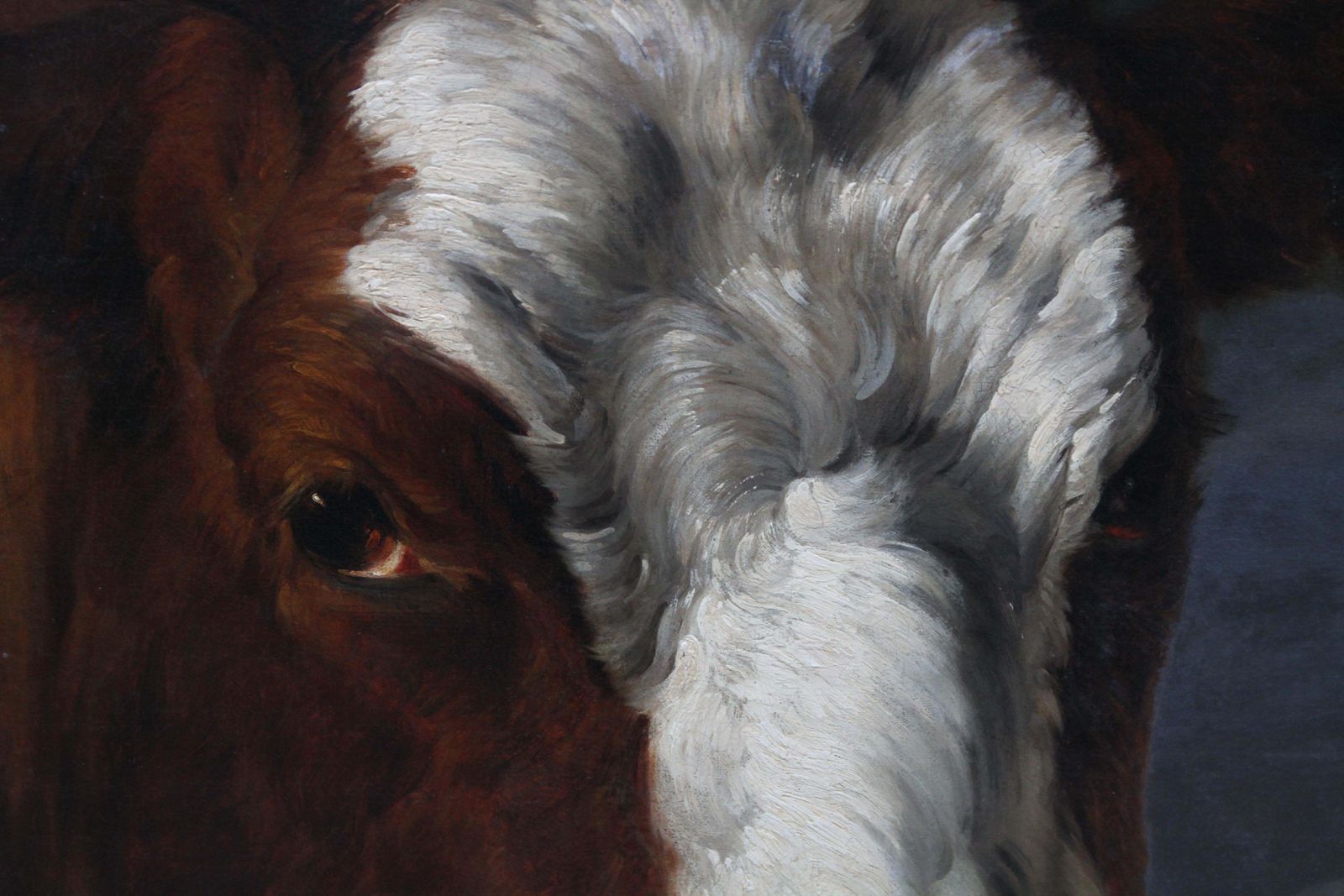 Portrait Of A Bull   Dutch Old Master Art Animal Portrait Oil Paintingcirca 1650 photo vintage