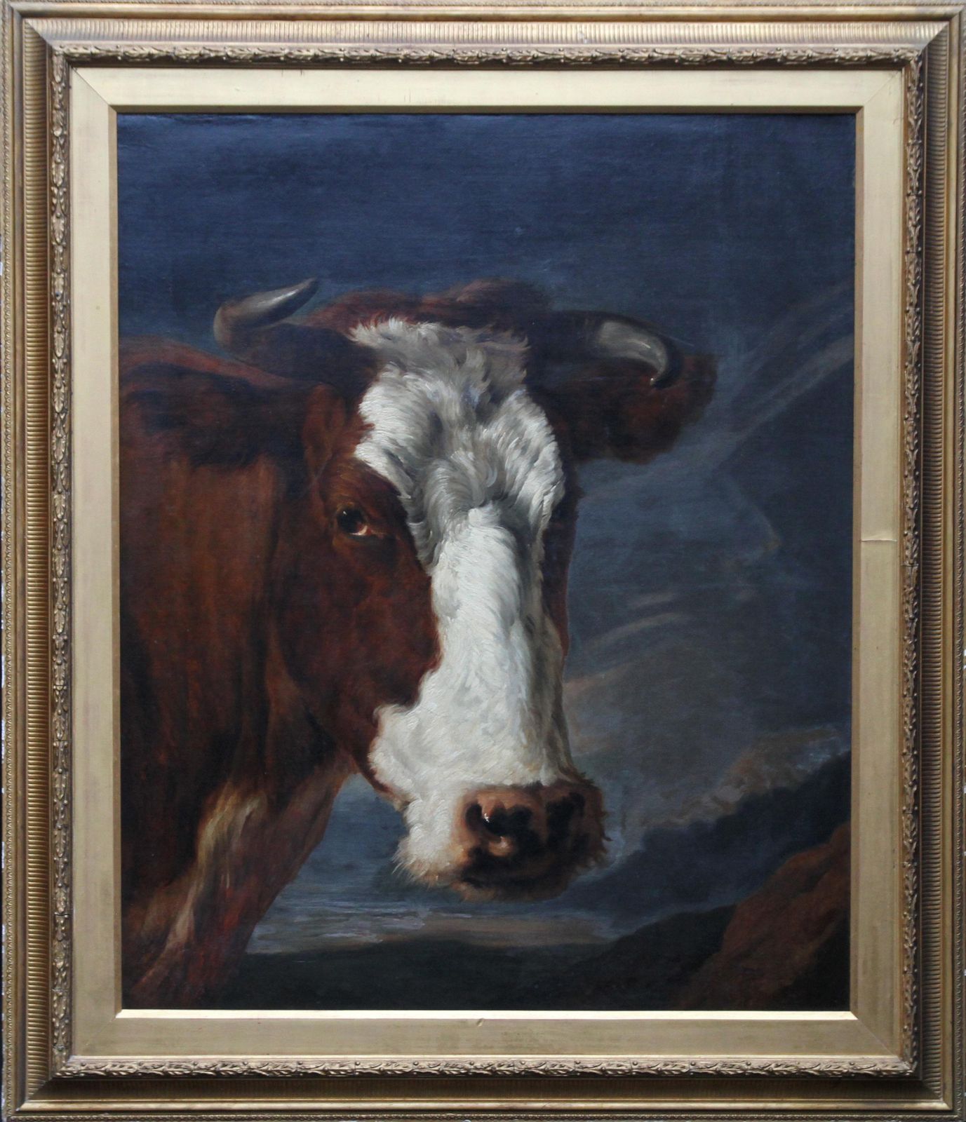 photo buy Portrait Of A Bull   Dutch Old Master Art Animal Portrait Oil Paintingcirca 1650