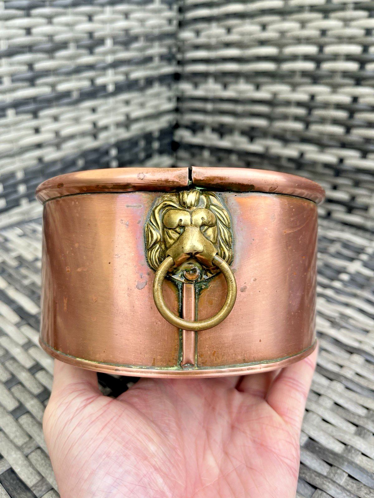 photo for sale Antique Victorian Oval Copper Flower Trough Brass Lion Plant Pot Planter Vintage