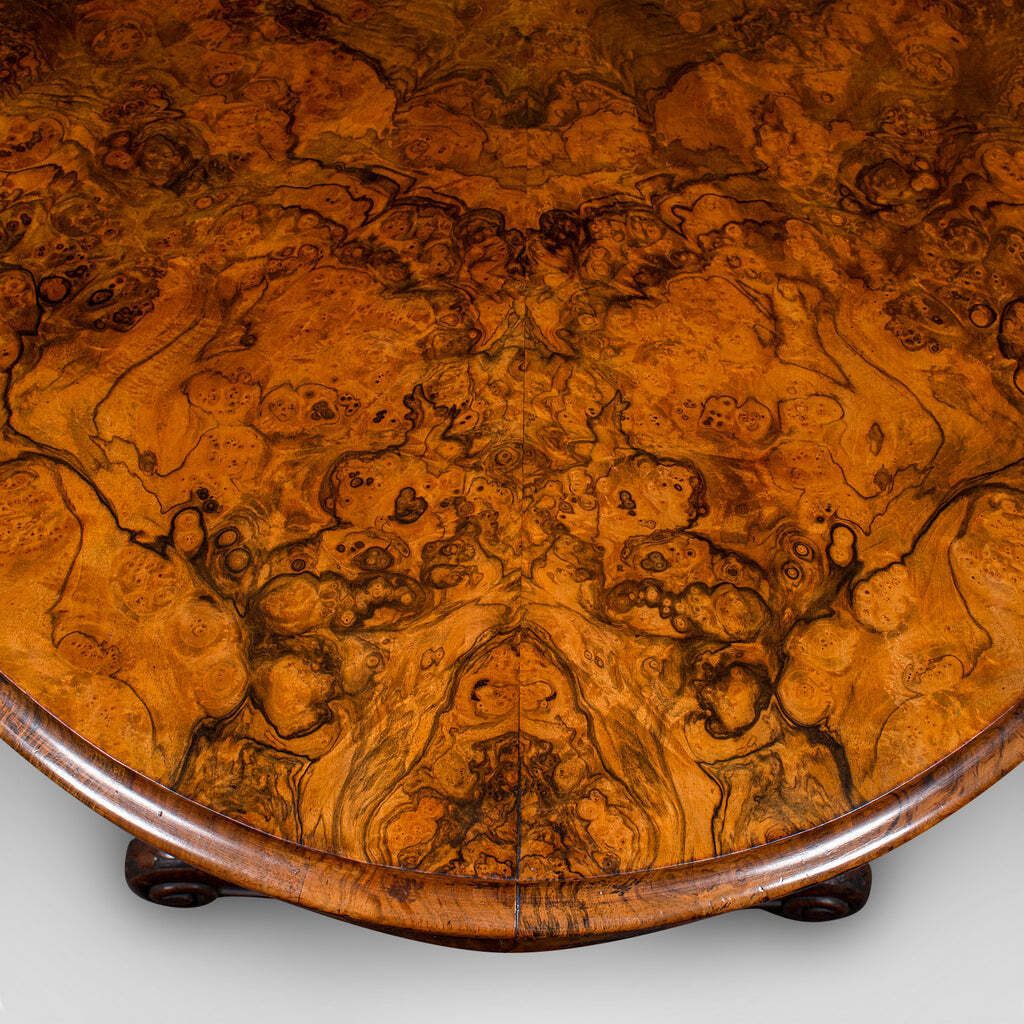 Antique Display Table, English, Burr Walnut, 4 Seat, Oval, Centre, Victorian photo buy