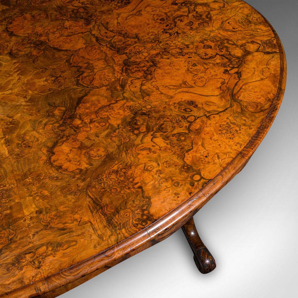 Antique Display Table, English, Burr Walnut, 4 Seat, Oval, Centre, Victorian photo vintage