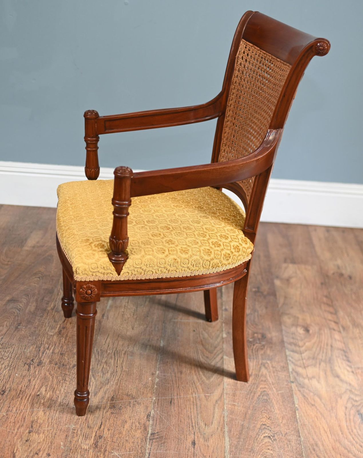 Pair Regency Arm Chairs Bergere Backs photo vintage