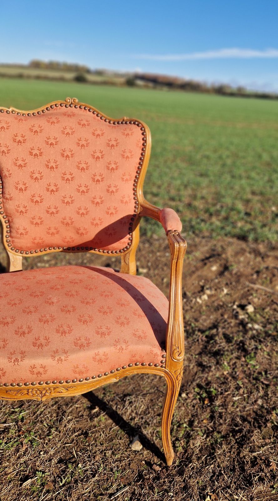 Pair Of Antique Louis XV Style French Armchairs photo 360.0