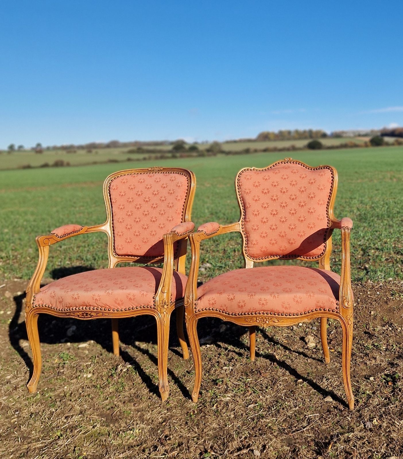 Pair Of Antique Louis XV Style French Armchairs photo vinterior