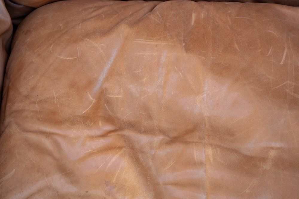 Bonheur Leather Sofa By Titina Ammannati And Giampiero Vitelli For Brunati, 1970s photo Furniture