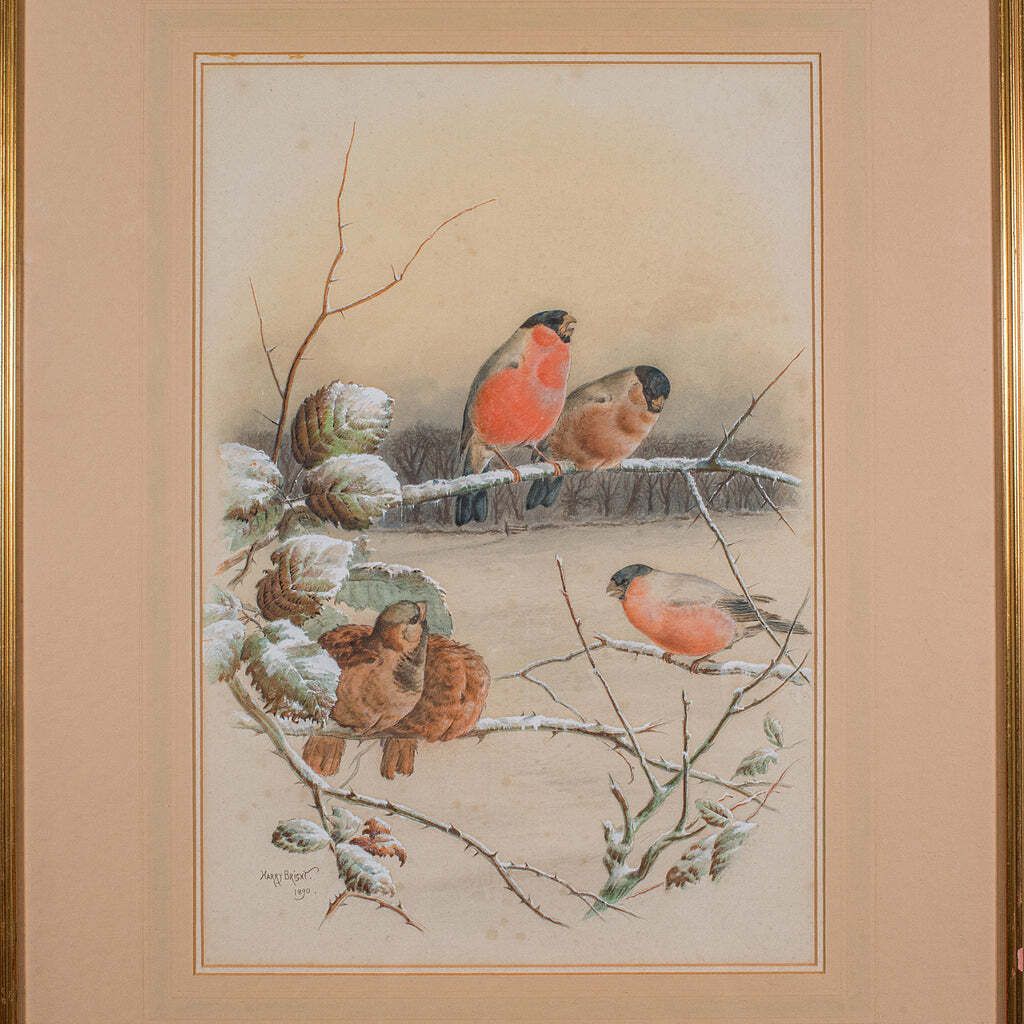 Antique Watercolour Finch Painting, English School, Art, Harry Bright, Victorian photo Art