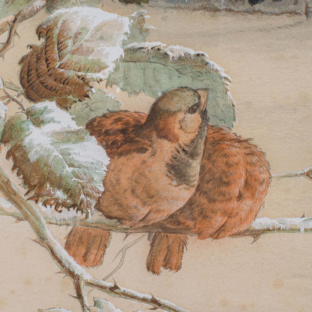 Antique Watercolour Finch Painting, English School, Art, Harry Bright, Victorian photo buy