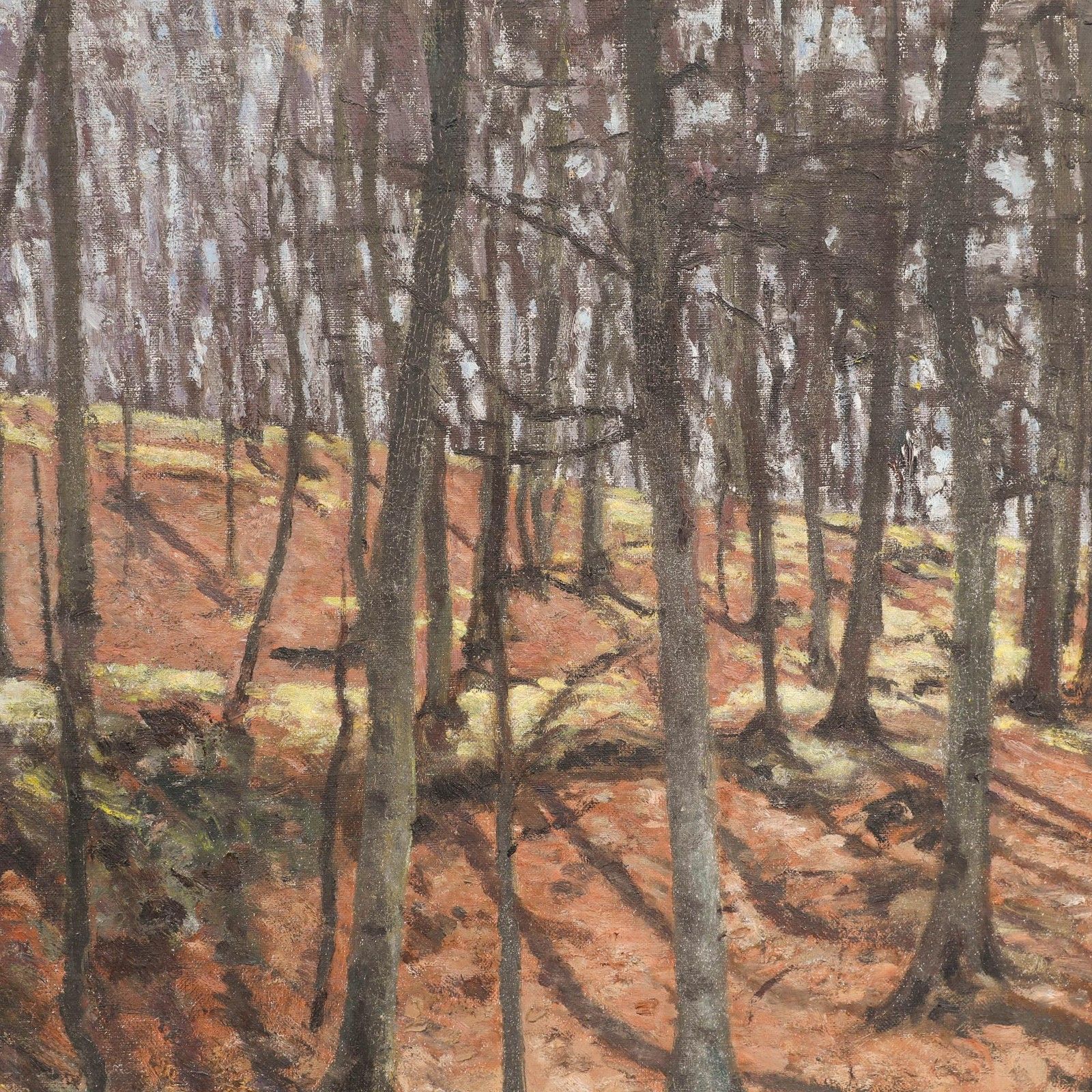 Attrib Bernhard Sickert (1862 1932) Oil, Beechwood In Spring photo Art