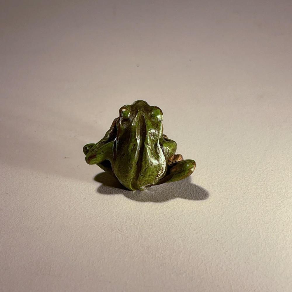 Vienna Bronze Musician Frog Patinated Bronze Sculpture, 1900 photo 499.0