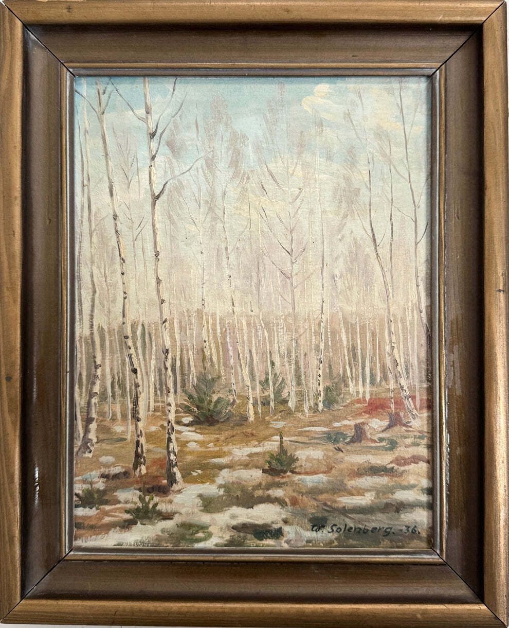 Birch Forest Awakening 1936. Vintage Swedish Oil Painting.
