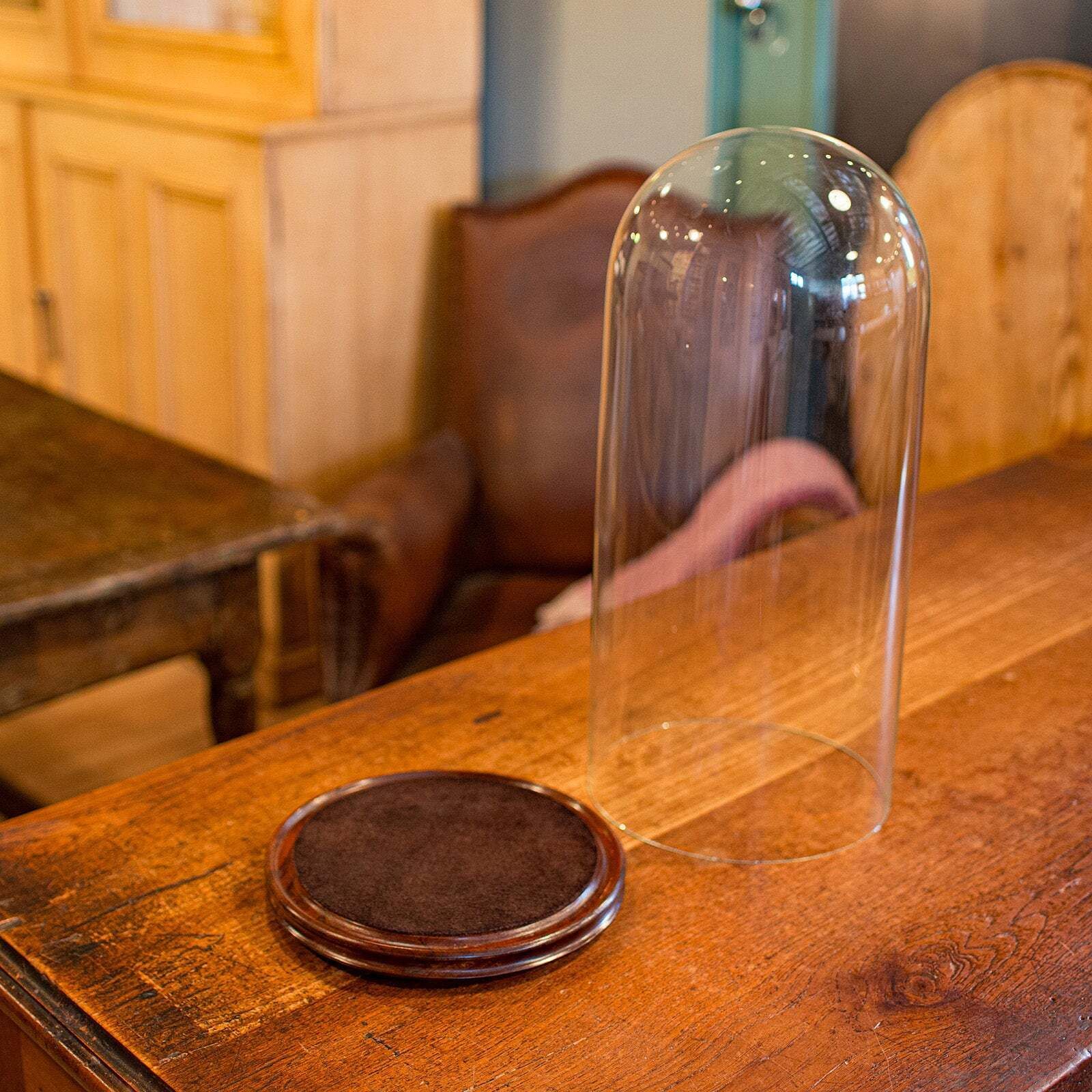 Tall Antique Taxidermy Dome, English, Glass, Collector’s Display, Late Victorian photo for sale