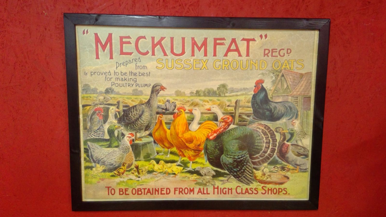 Vintage Style Poultry Feeds Advertising Sign