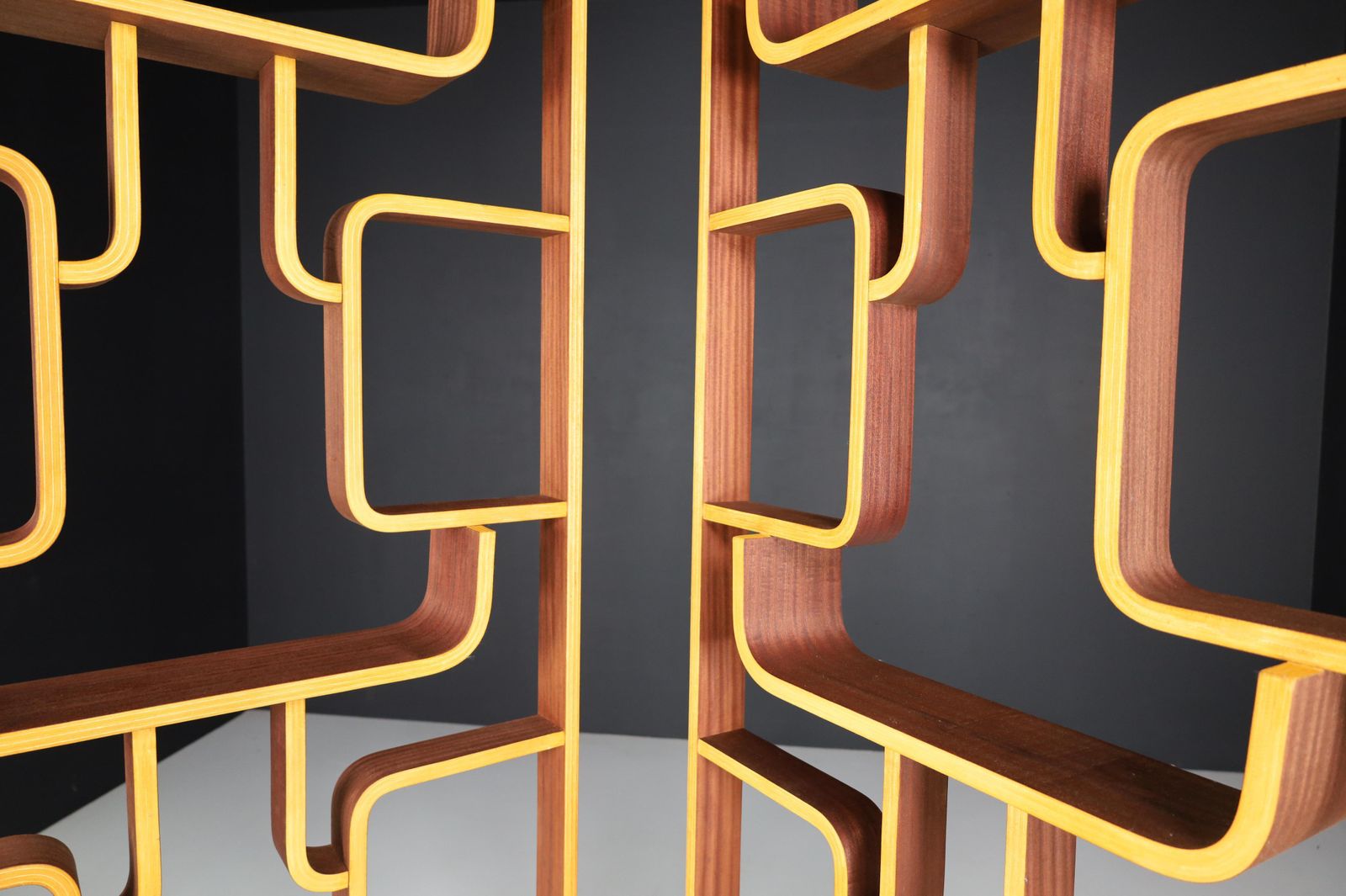 Mid 20th Century Room Dividers In Bent Wood By Ludvik Volak, Praque, 1960s photo for sale