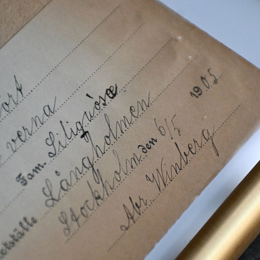 Six Early 20th Century Pressed Botanic Samples Signed And Dated Flowers Circa 1906 photo Art