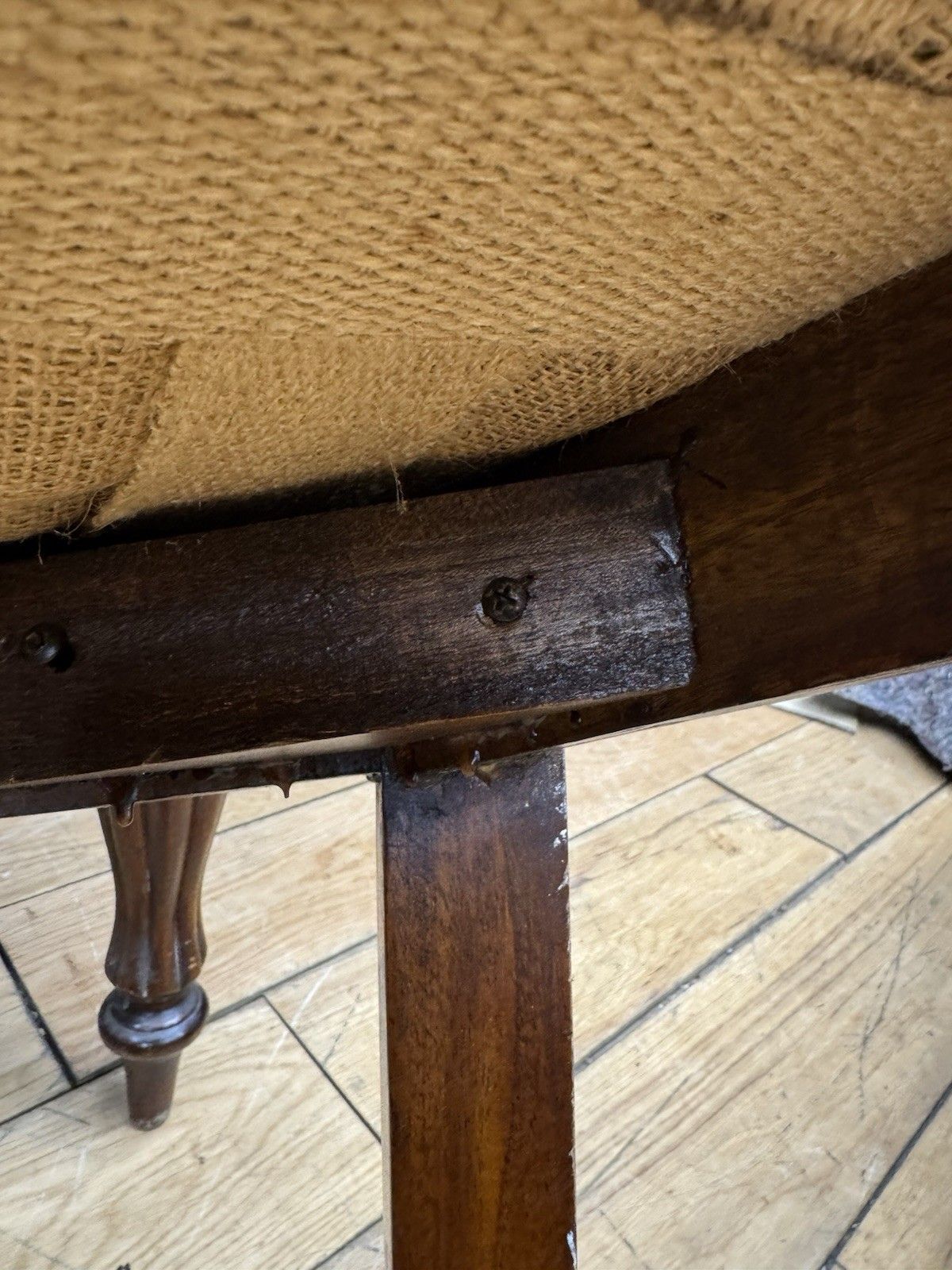photo furniture Vintage Balloon Back Dining Chairs – Carved Backs & Upholstered Seats (4)