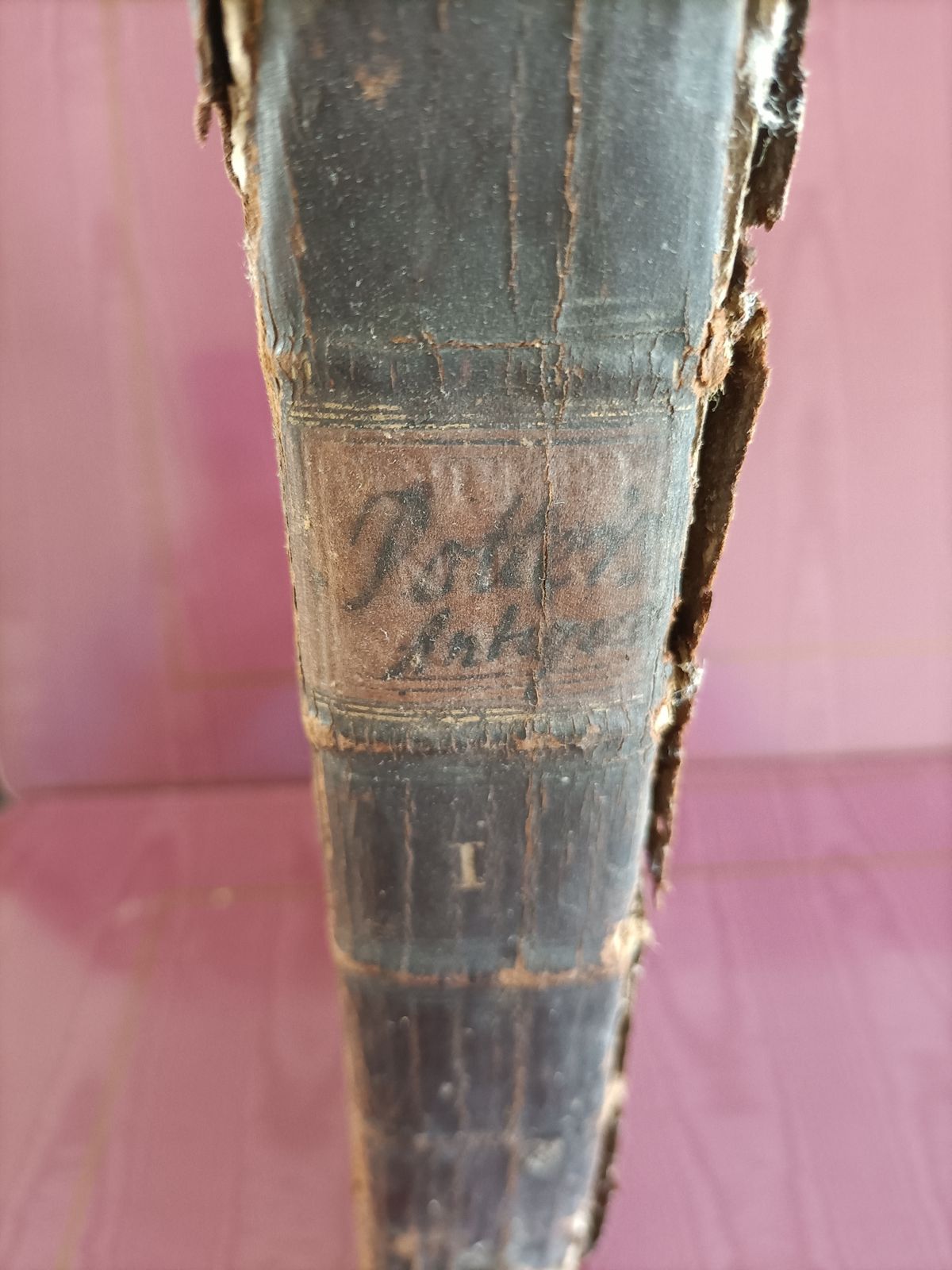 The Antiquities Of Egypt 1699, 1600s photo furniture
