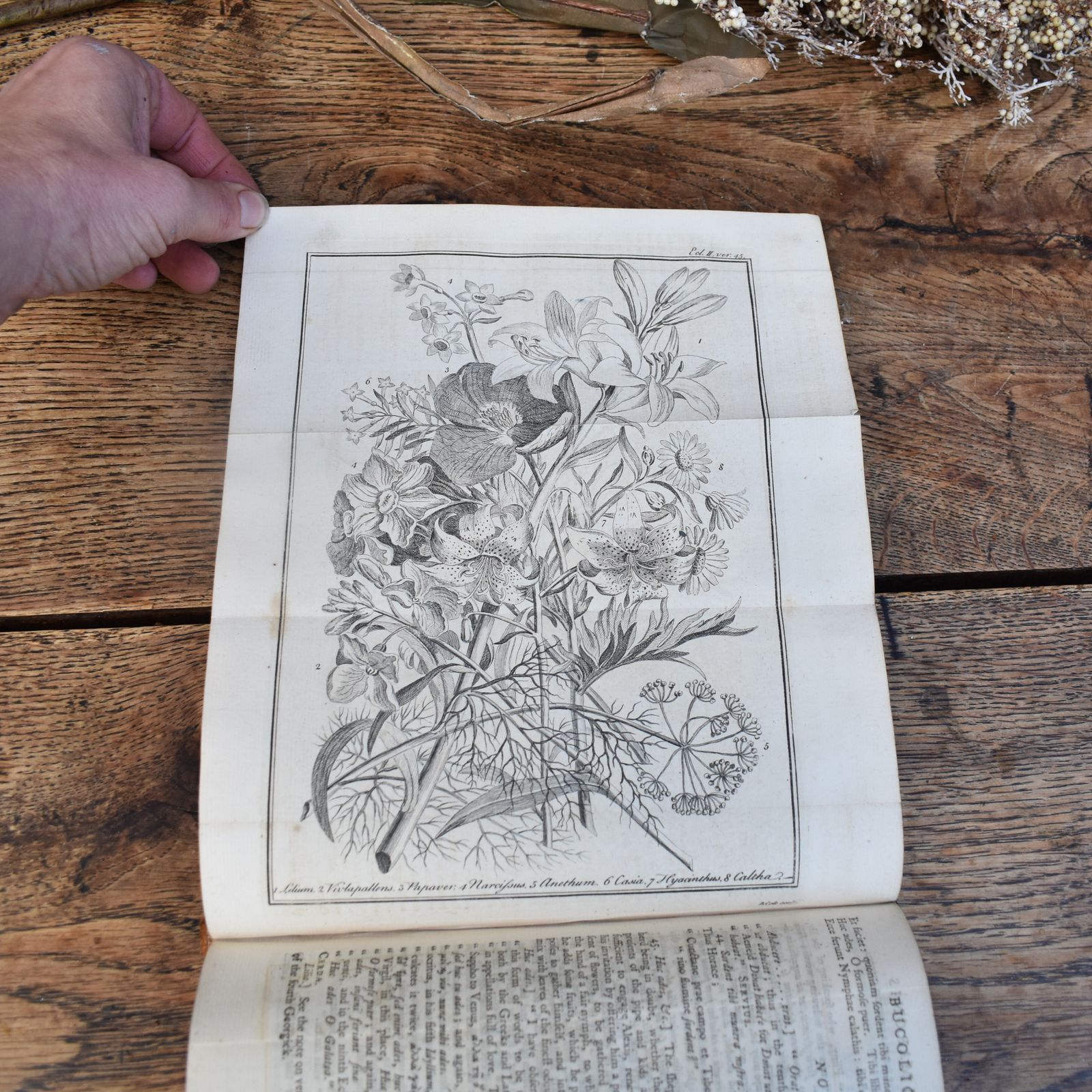 Antique 1749 The Bucolicks Of Virgil By John Martyn Owned By Cecil D. Wray Book photo Home Decor