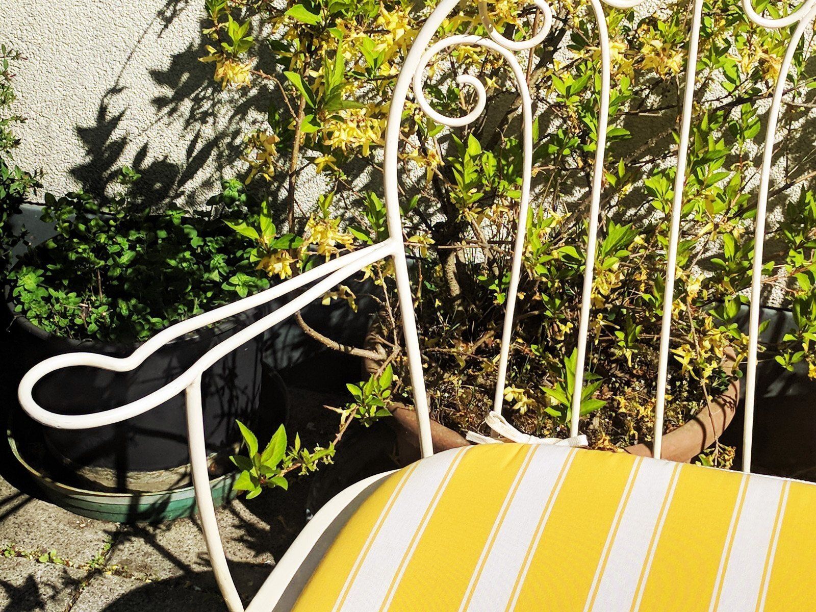 Mid Century Modern Austrian Wrought Iron Garden Seating Set By Karasek & Co, 1950s, Set Of 2 photo for sale