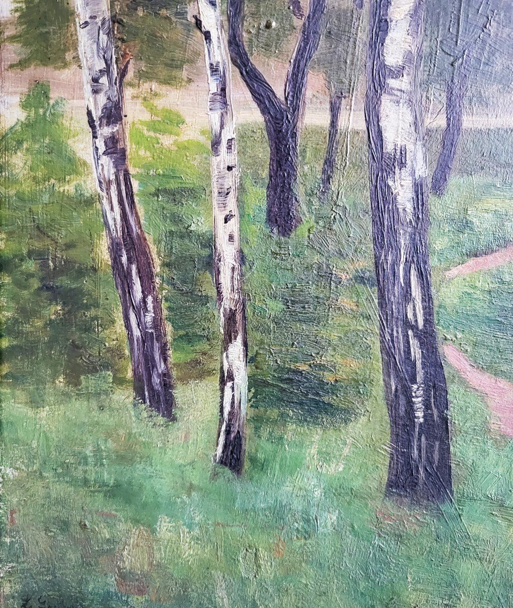 Art Nouveau Birch Trees, 19th Century, Oil Painting, Framed photo Art