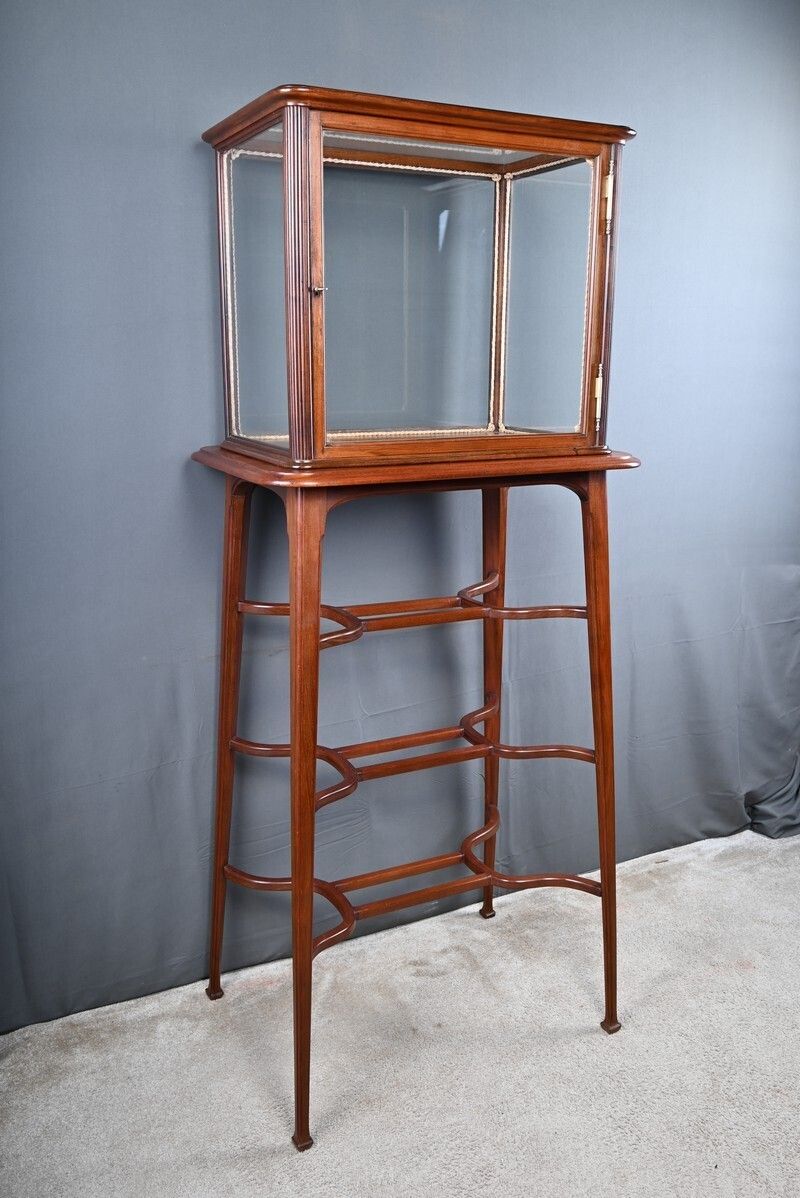 Mahogany Display Case, Art Nouveau – 1900 photo for sale