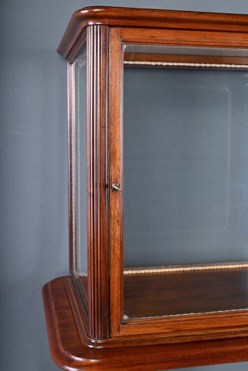 Mahogany Display Case, Art Nouveau – 1900 photo vintage