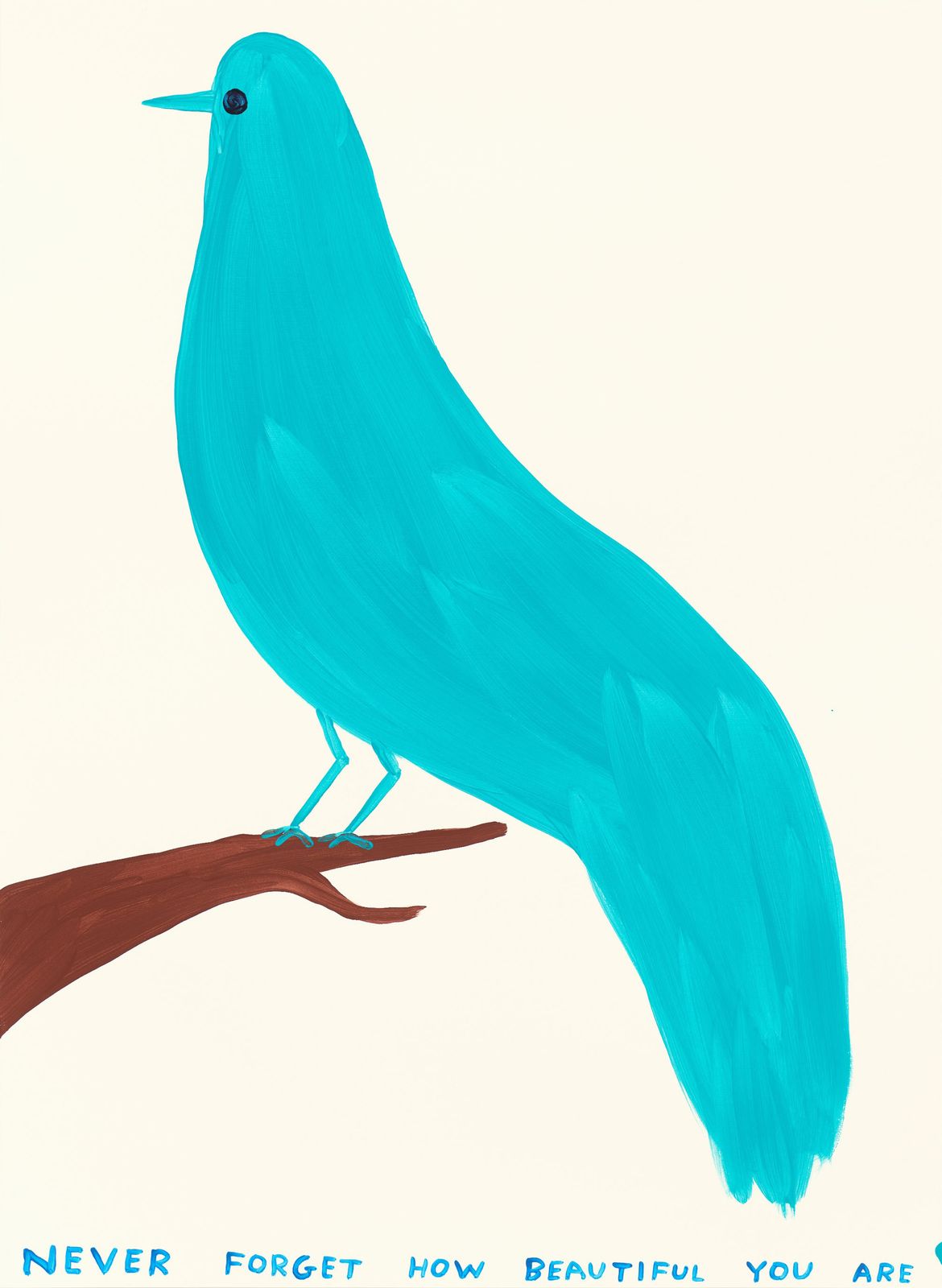 David Shrigley Never Forget How Beautiful You Are