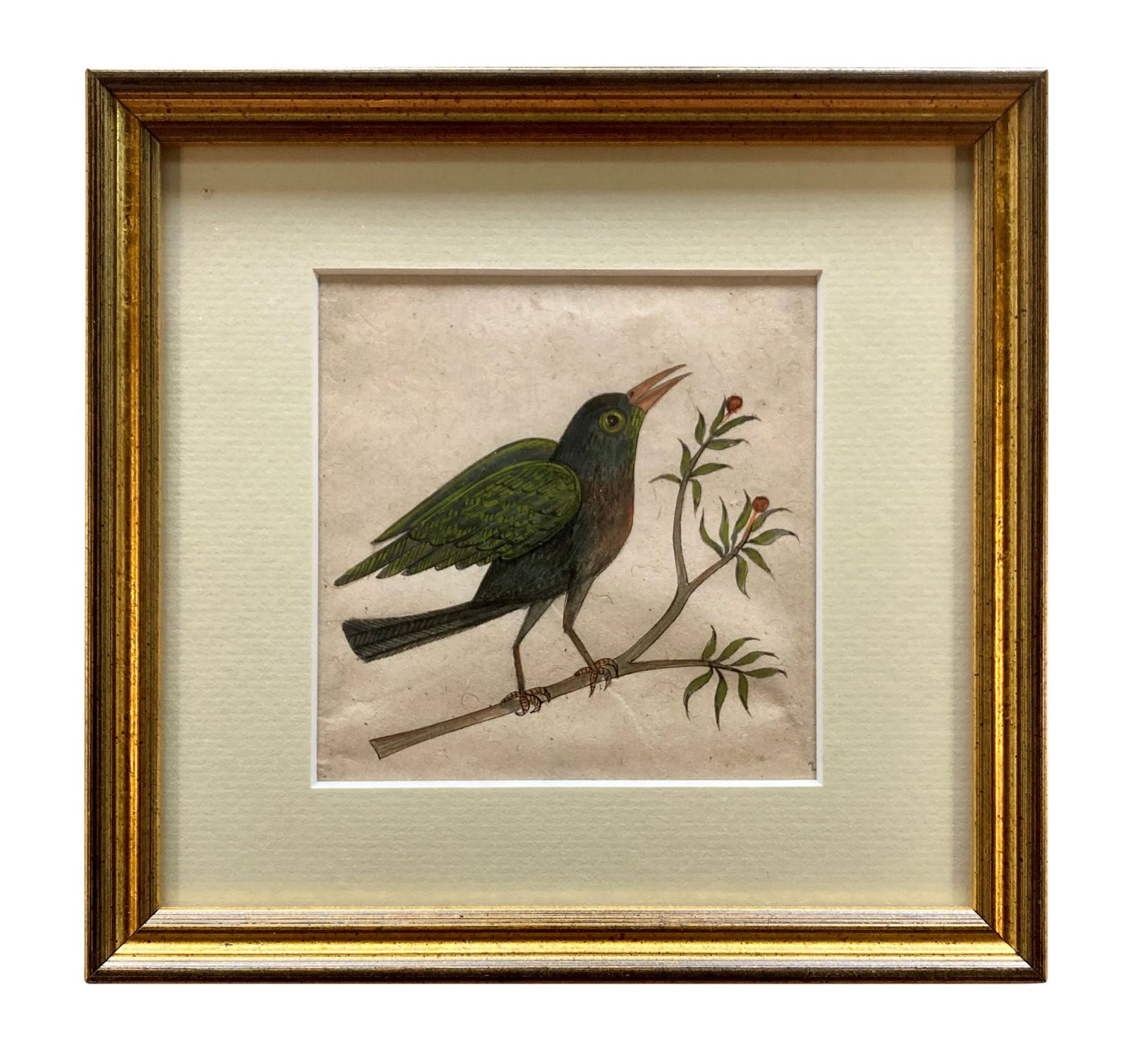 A Collection Of Eleven Early XIX Century Watercolours Of Indian Birds photo buy