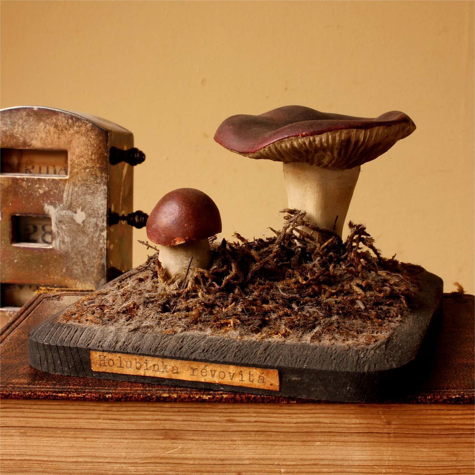 Antique Mushroom Model Teaching Aid. Holubinka Revovita. Collectible. photo for sale