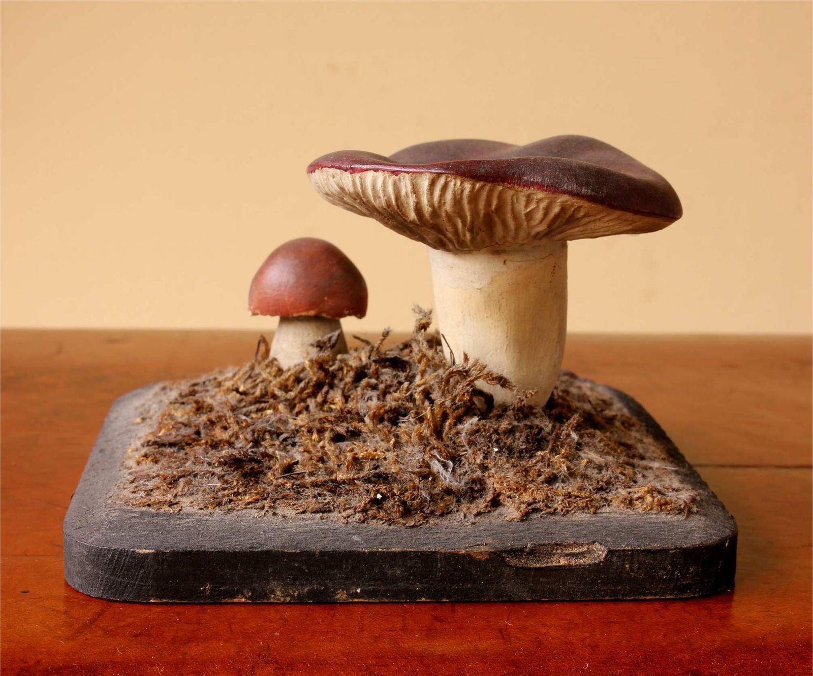 Antique Mushroom Model Teaching Aid. Holubinka Revovita. Collectible. photo buy