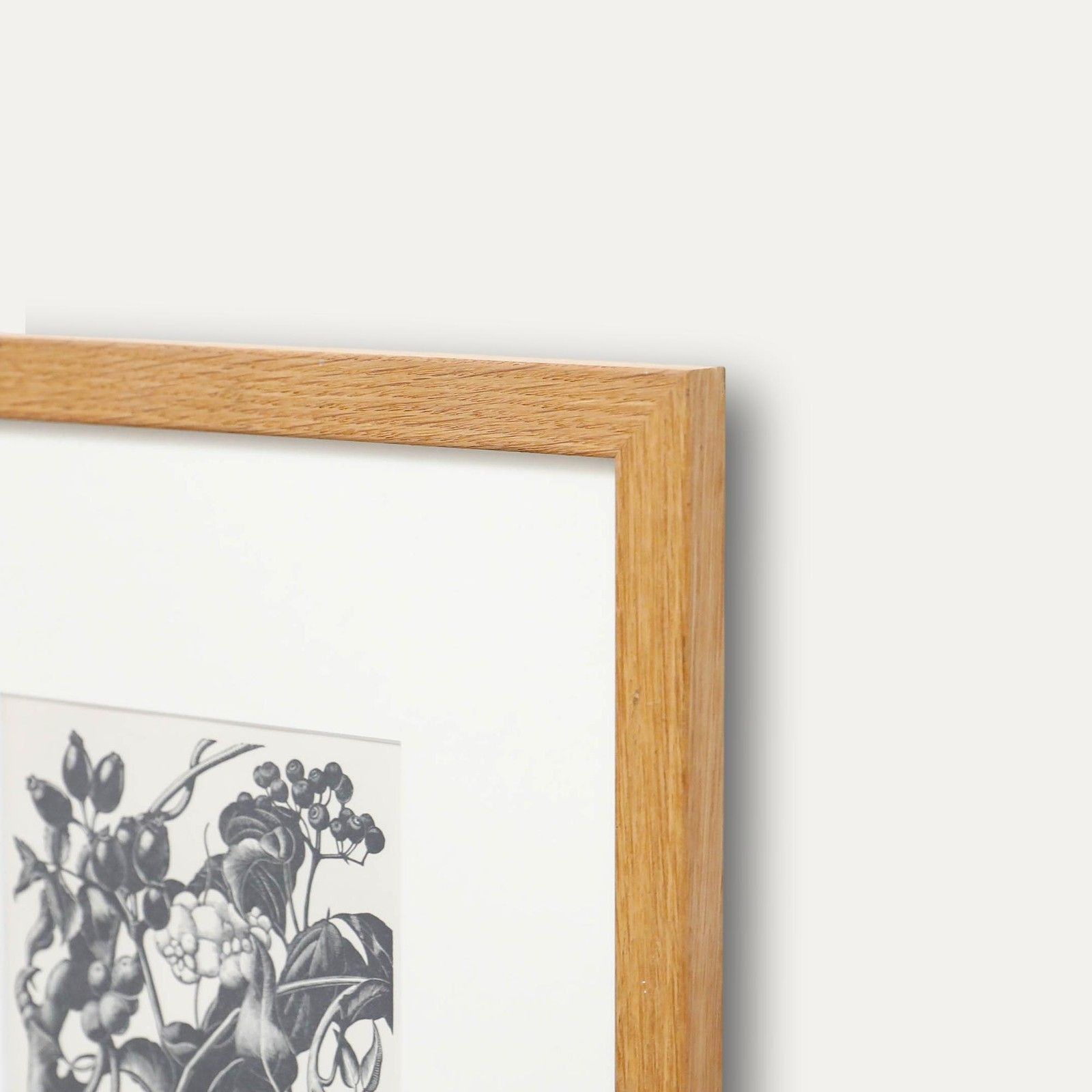 Clare Leighton (1898 1989) Mid 20th Century Woodcut, Berries photo 225.0
