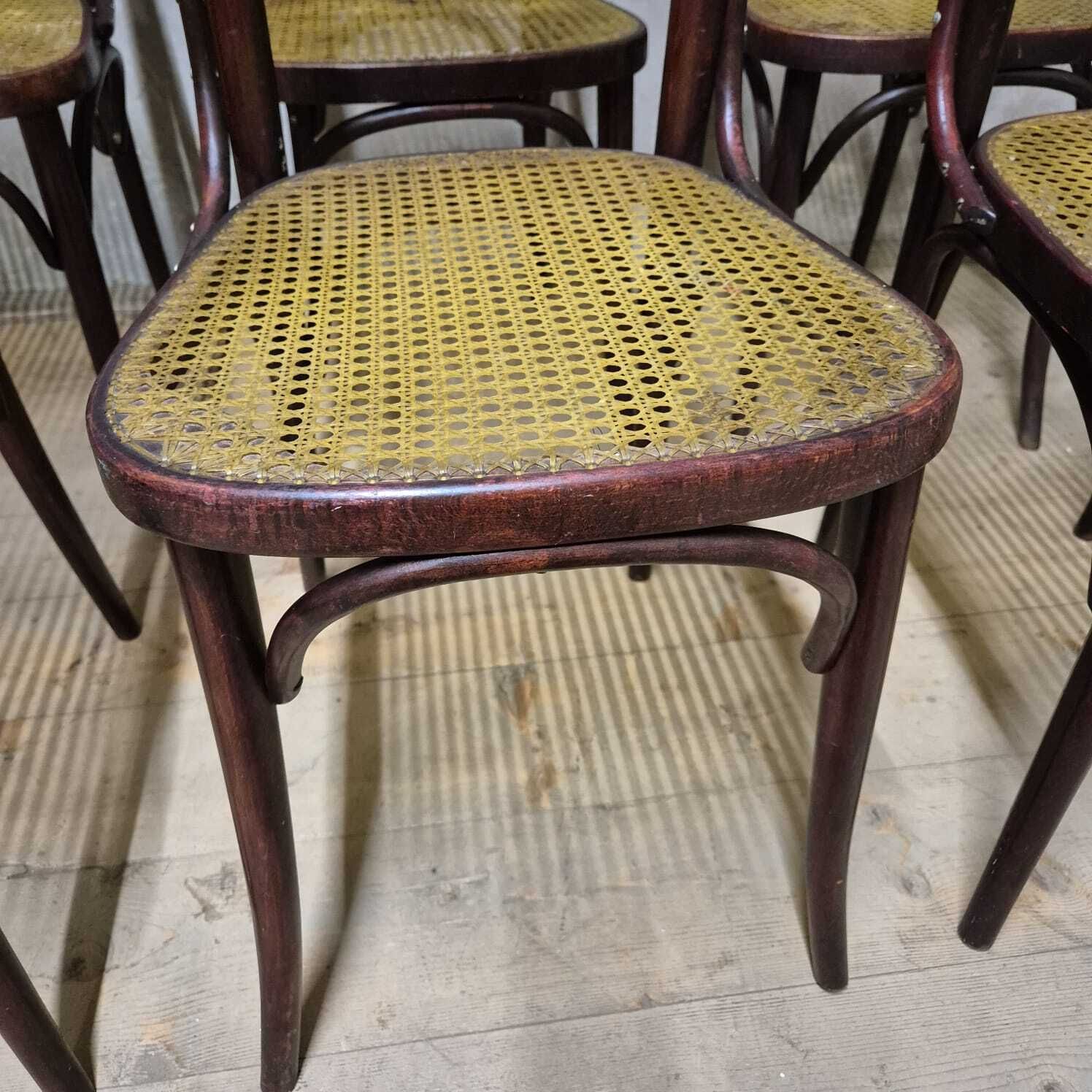 Set Of 6 Dining Chairs, Thonet Style, 1960s, Czechoslovakia photo 907.0