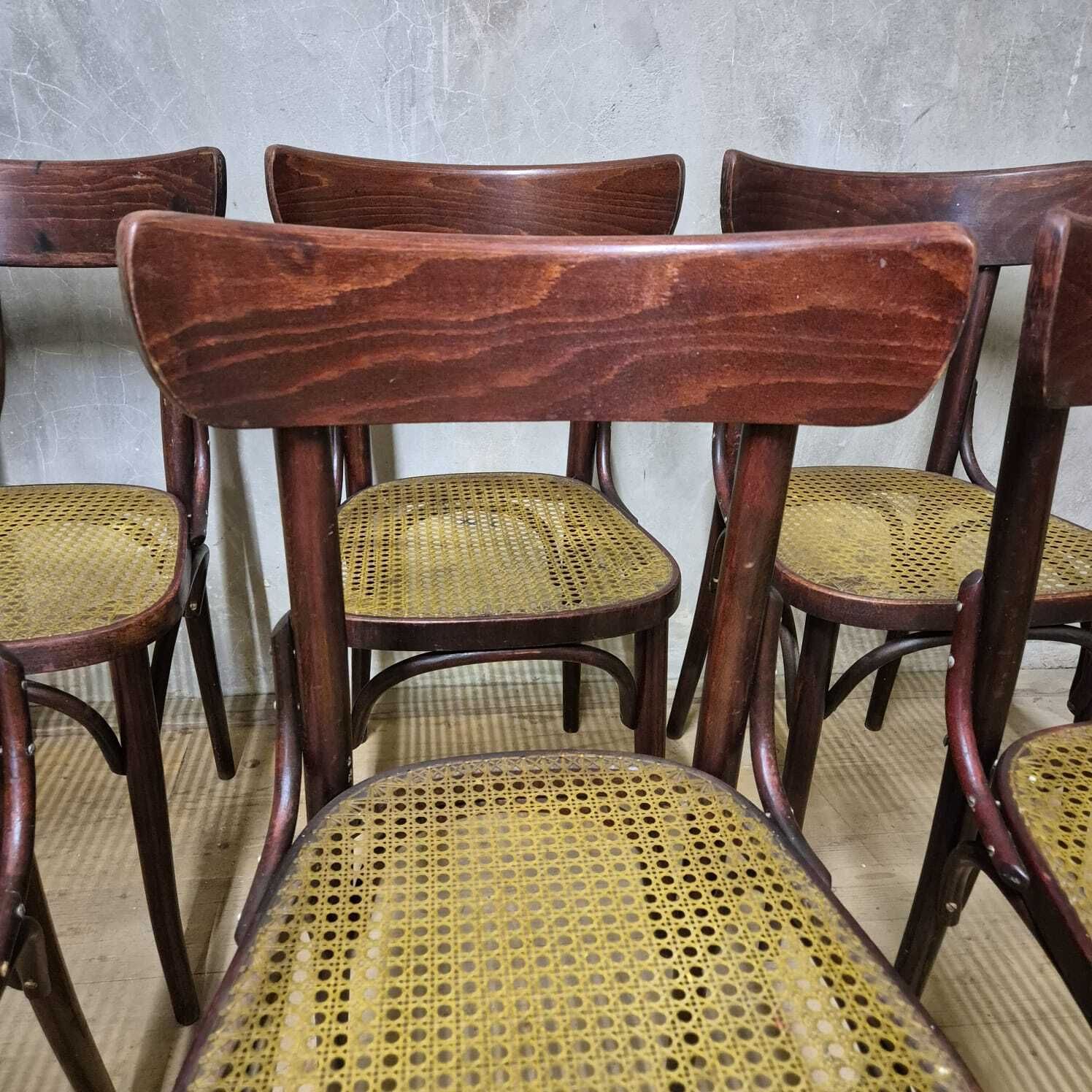 Set Of 6 Dining Chairs, Thonet Style, 1960s, Czechoslovakia photo buy